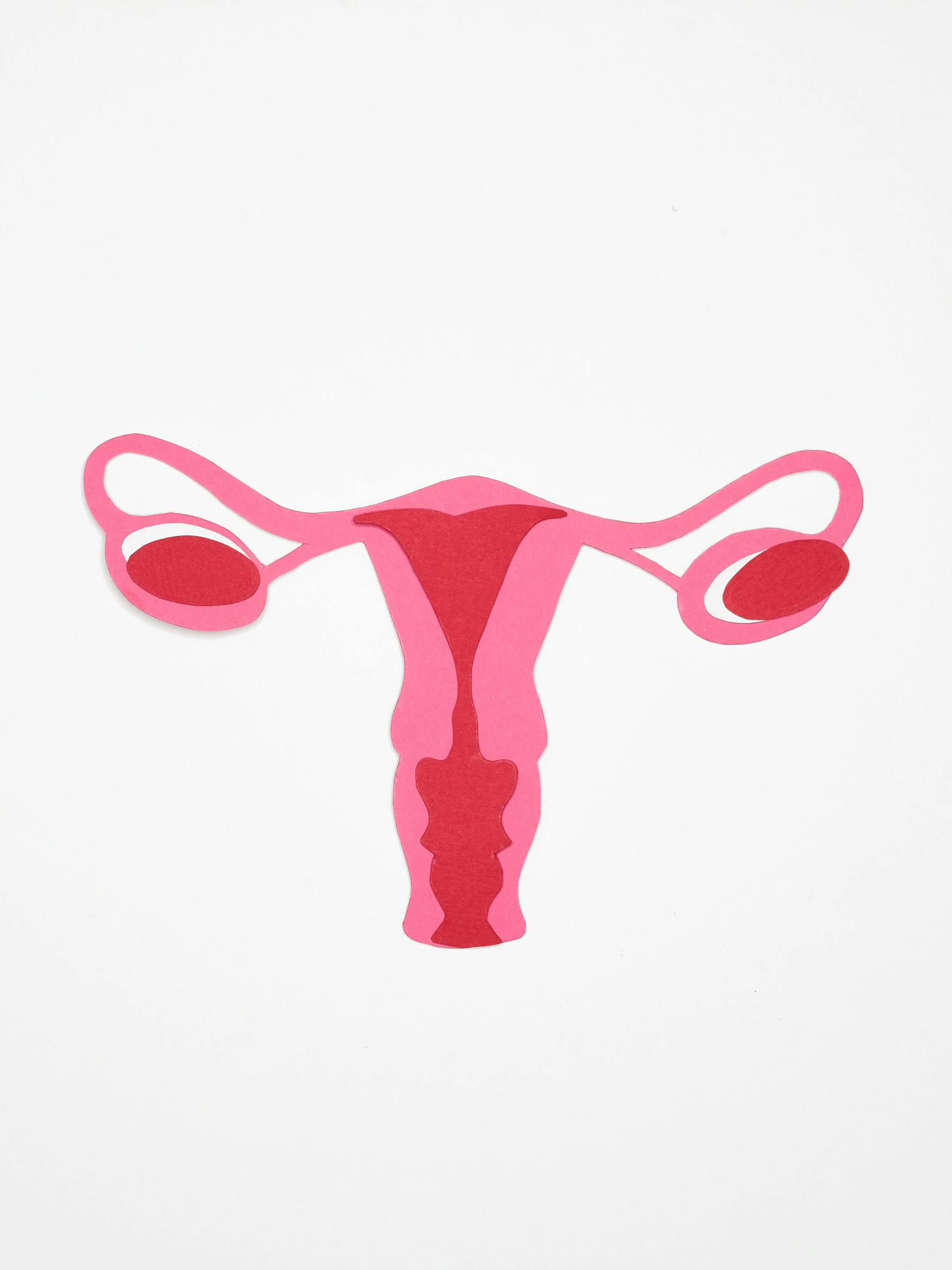 Waarom tikt de biologische klok van vrouwen zo snel?