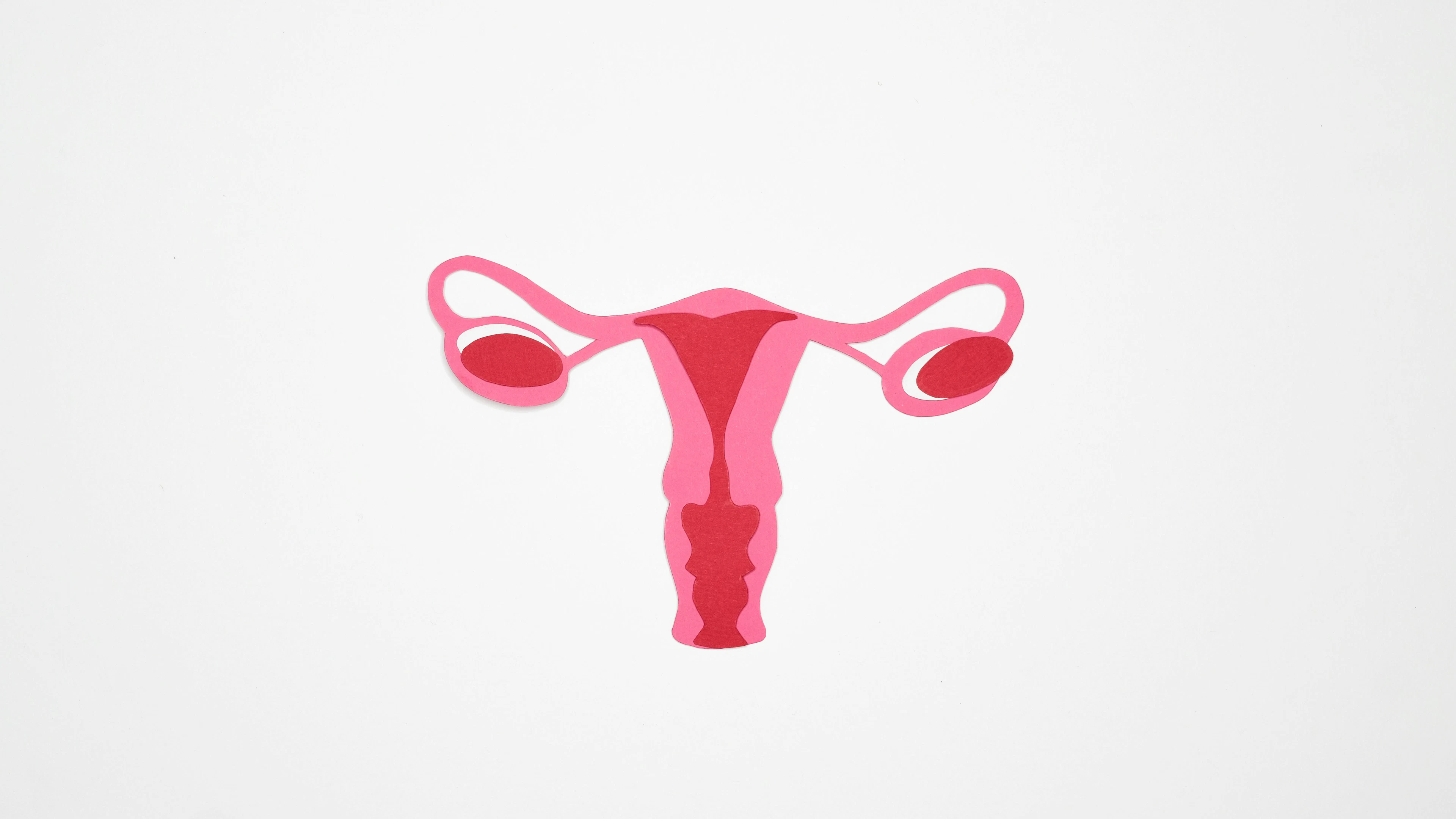Waarom tikt de biologische klok van vrouwen zo snel?