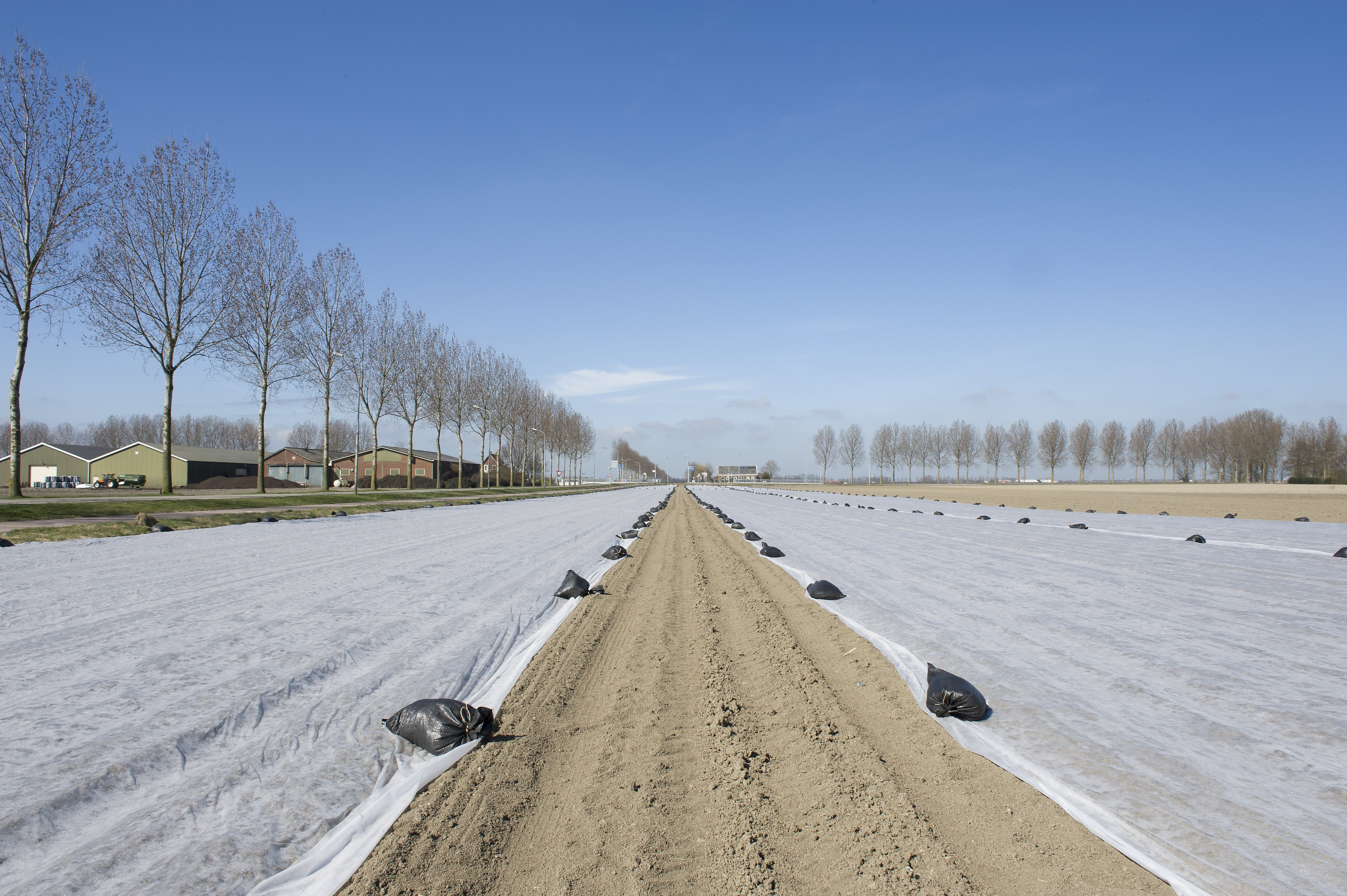 Hoe biologisch afbreekbare landbouwplastics het bodemleven veranderen
