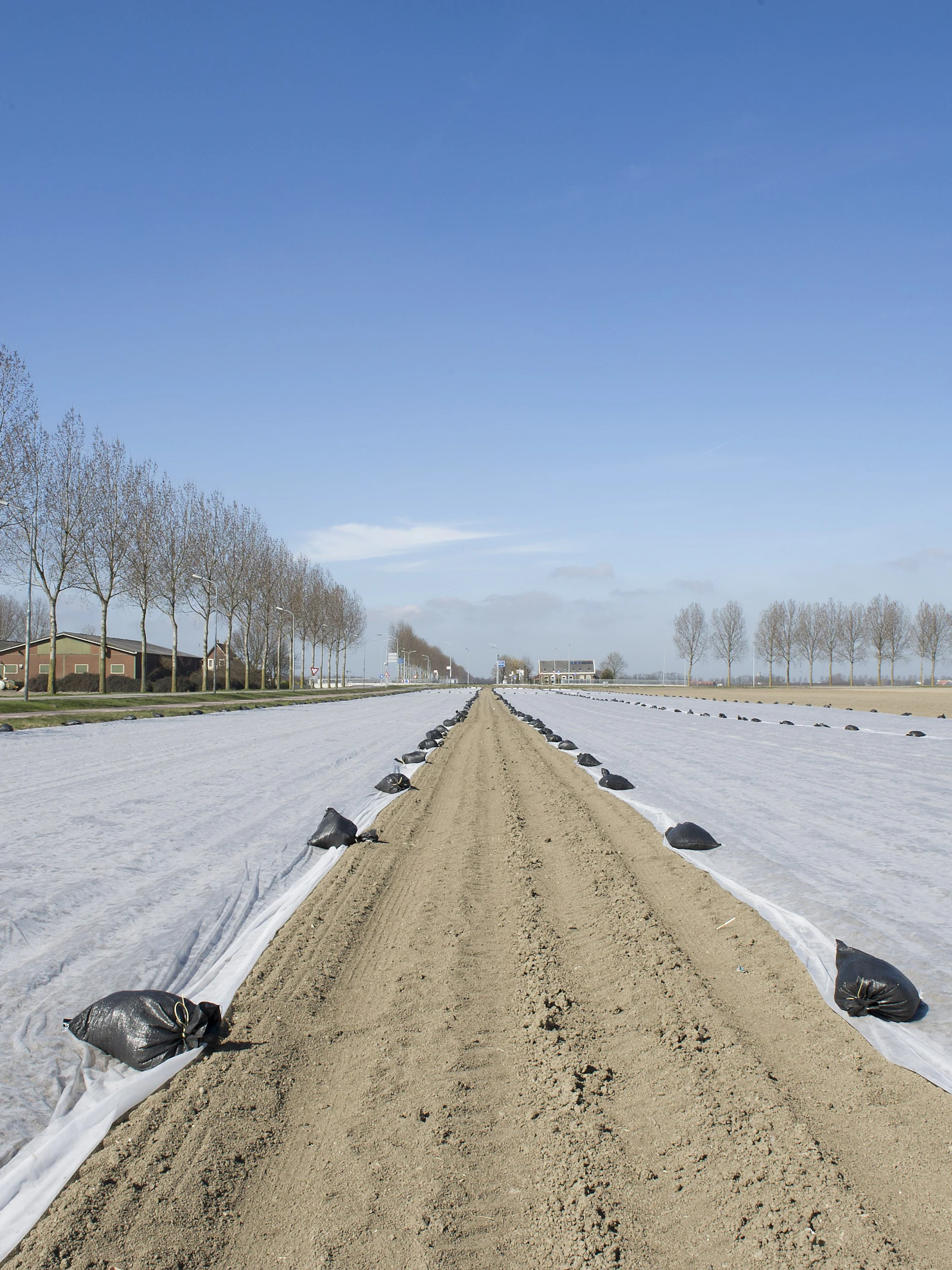 Hoe biologisch afbreekbare landbouwplastics het bodemleven veranderen