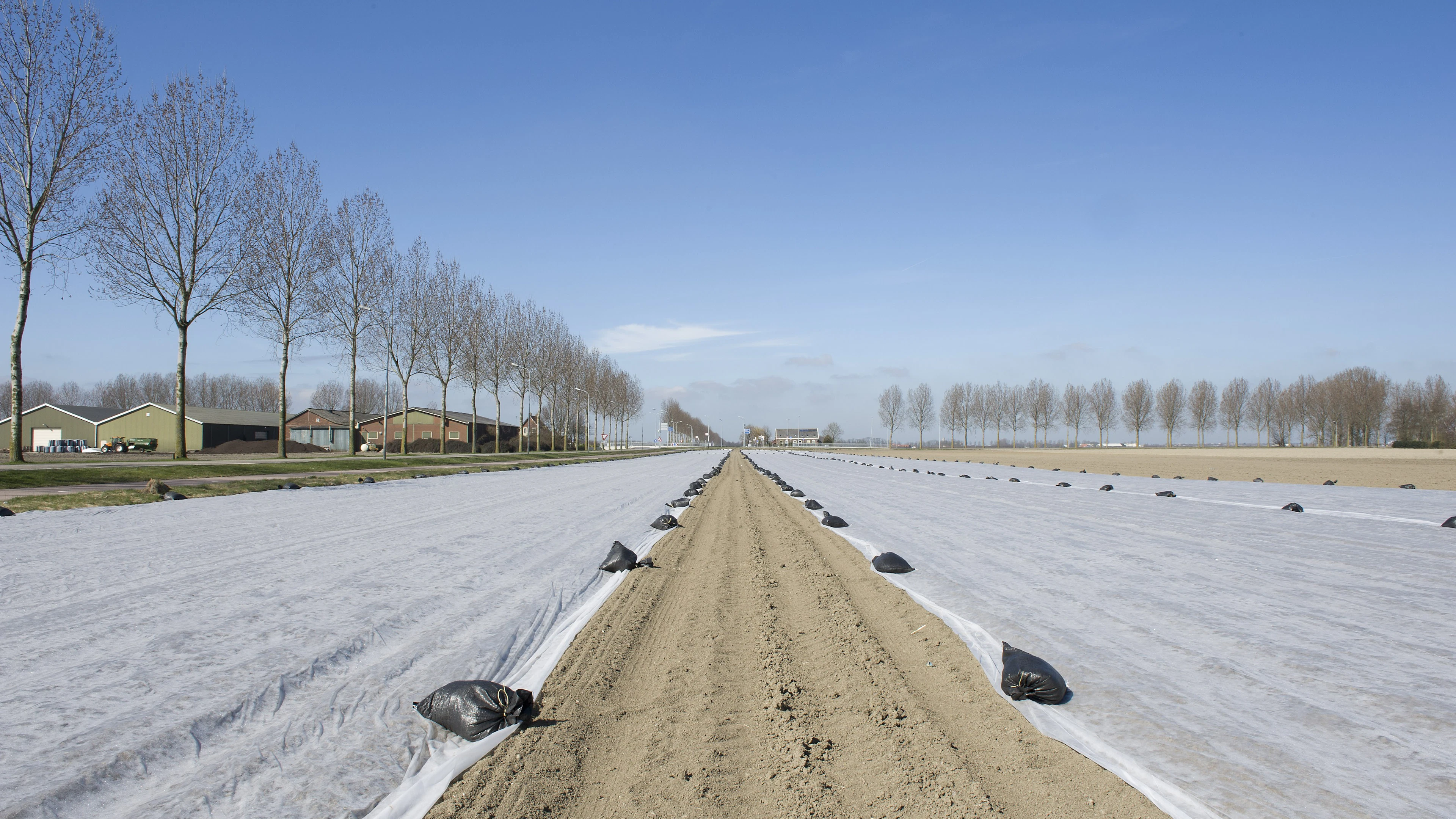 Hoe biologisch afbreekbare landbouwplastics het bodemleven veranderen