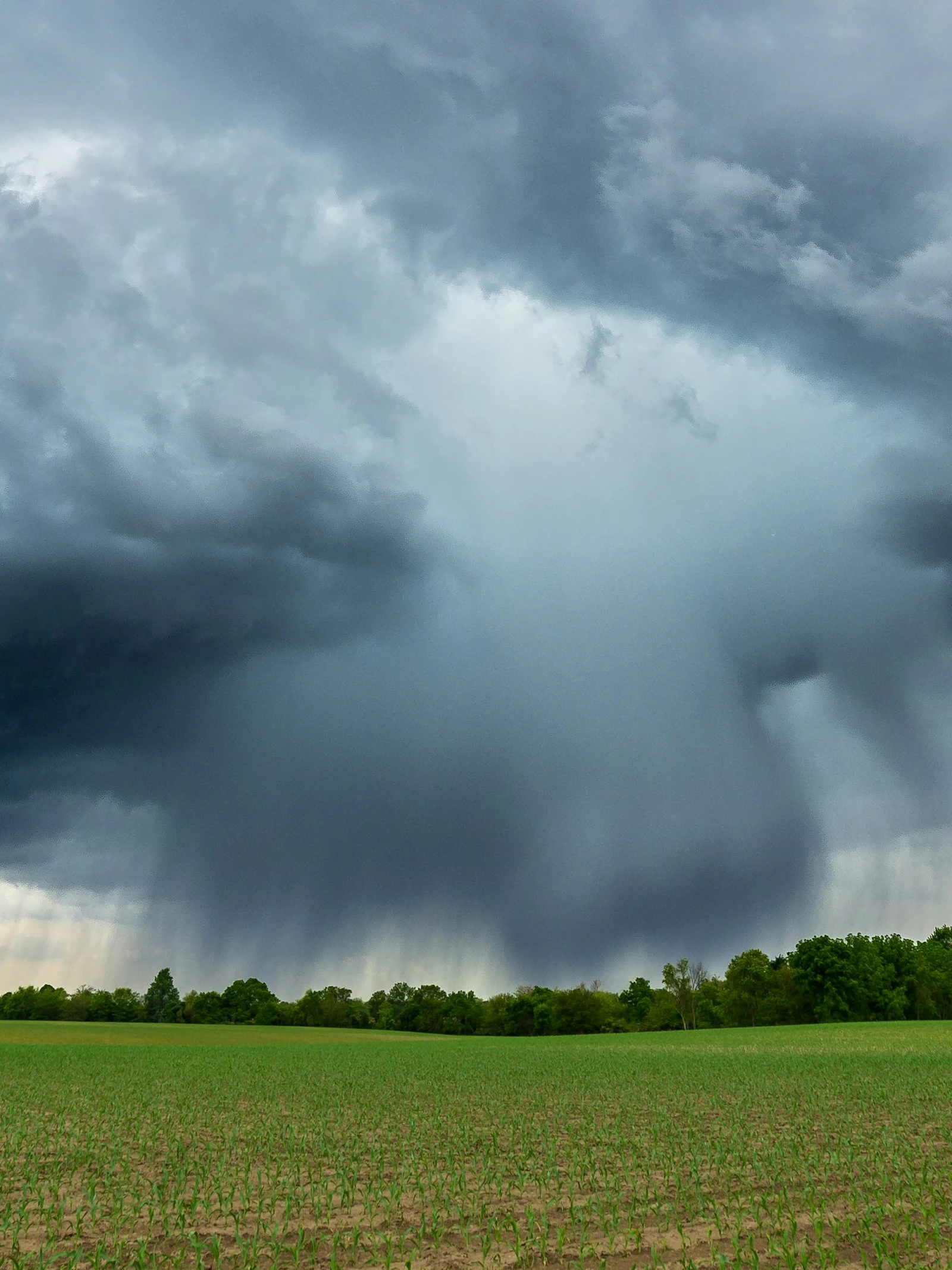 Storm in een glas water