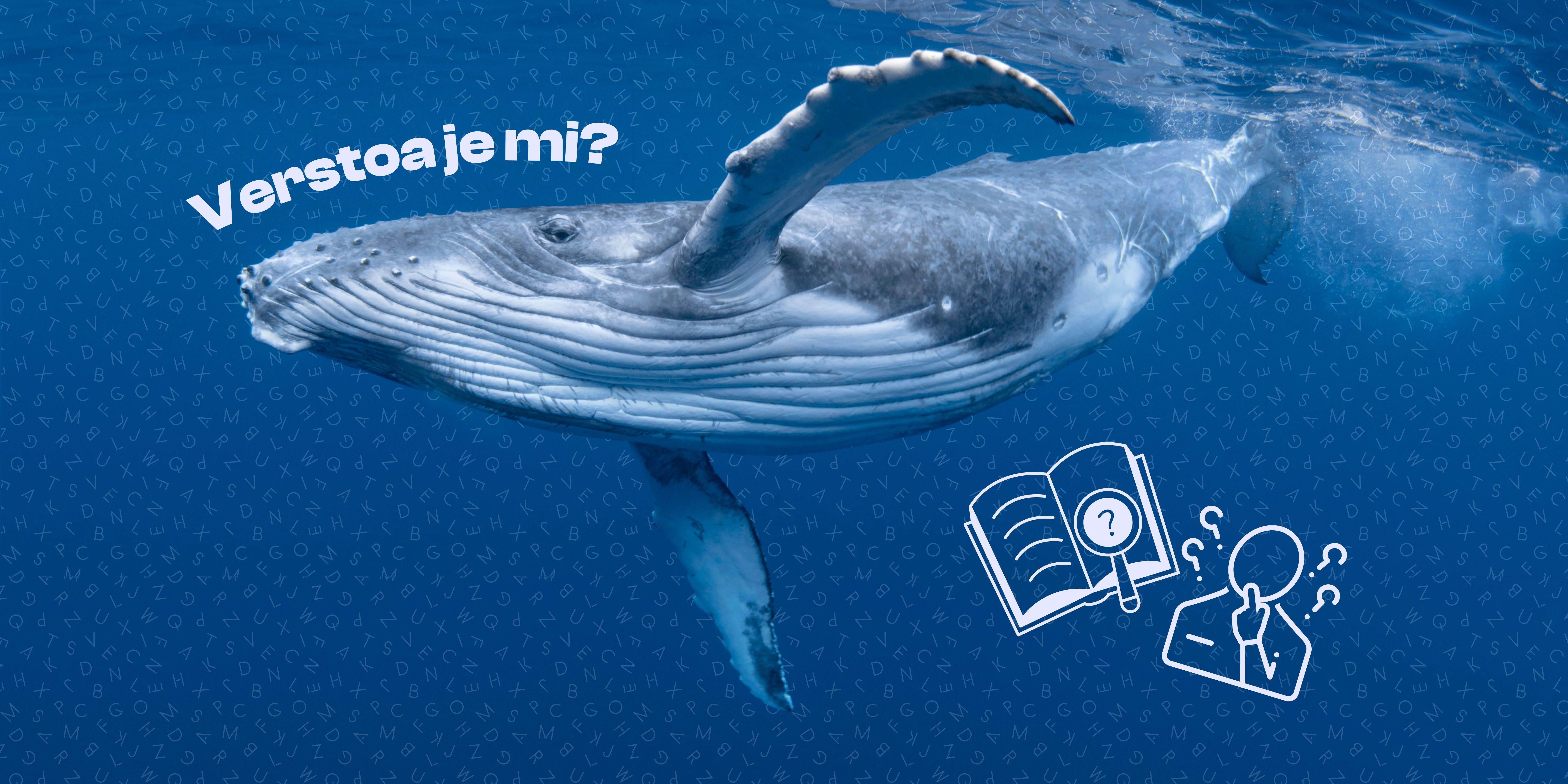 Hebben walvissen dialecten?