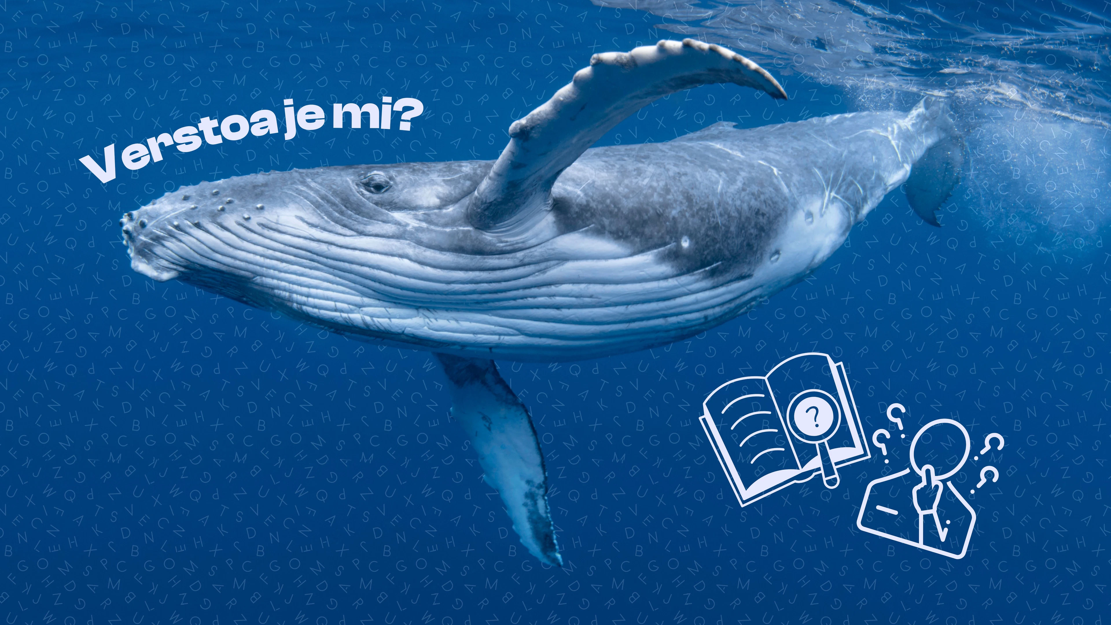 Hebben walvissen dialecten?