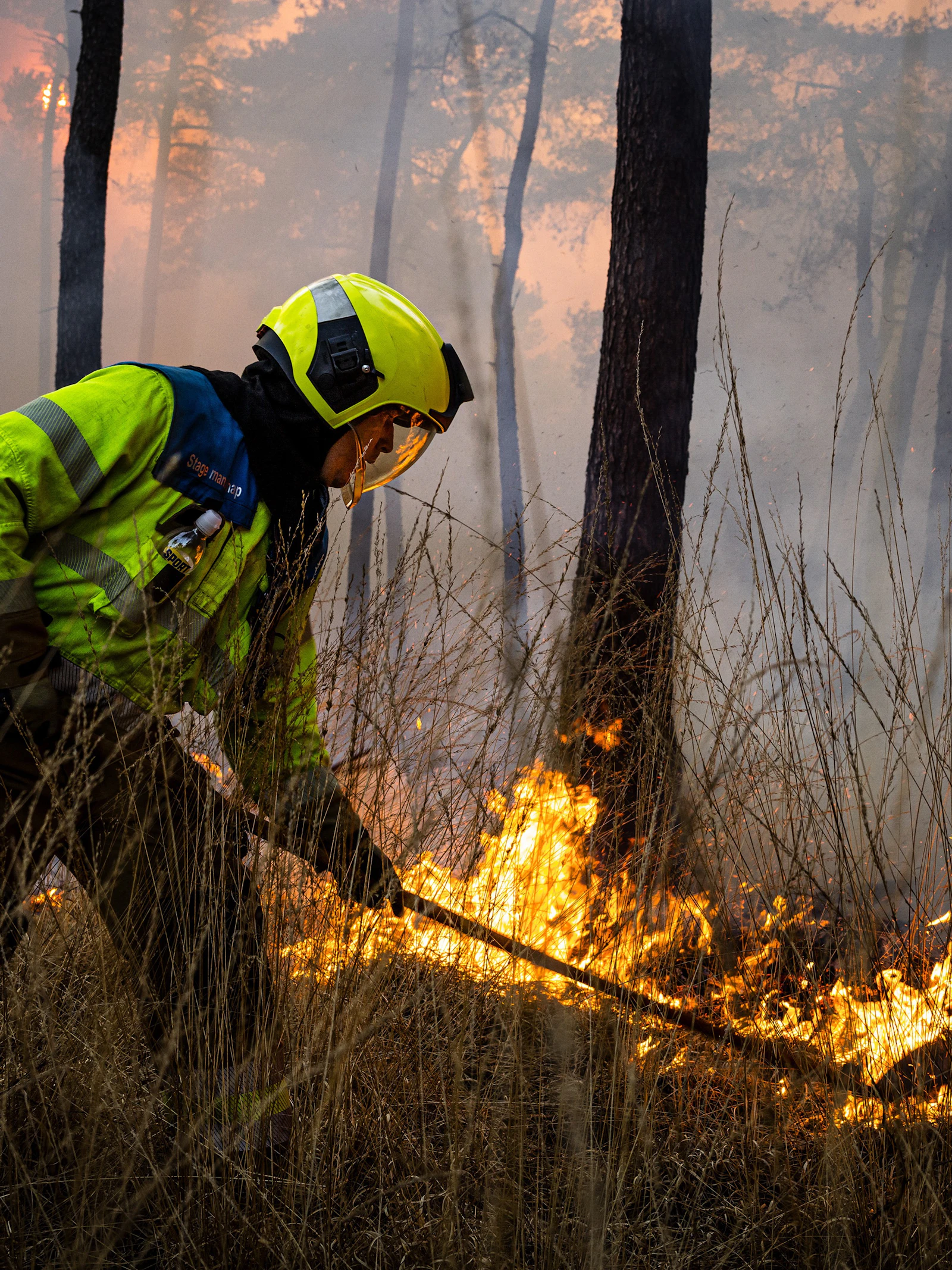 Almaar meer schade en slachtoffers per bosbrand, bewijzen cijfers van de verzekeringen