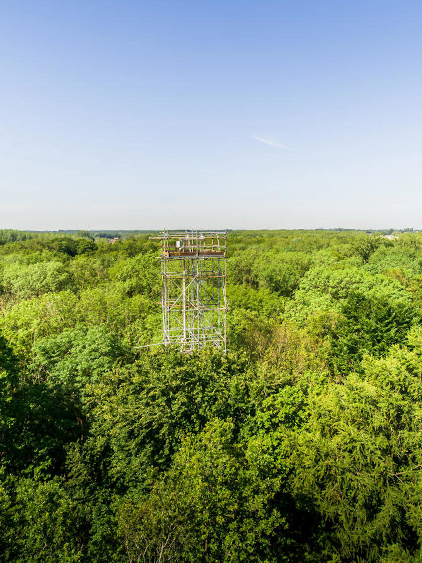 De vinger aan de pols: realtime microklimaat in het Aelmoeseneiebos
