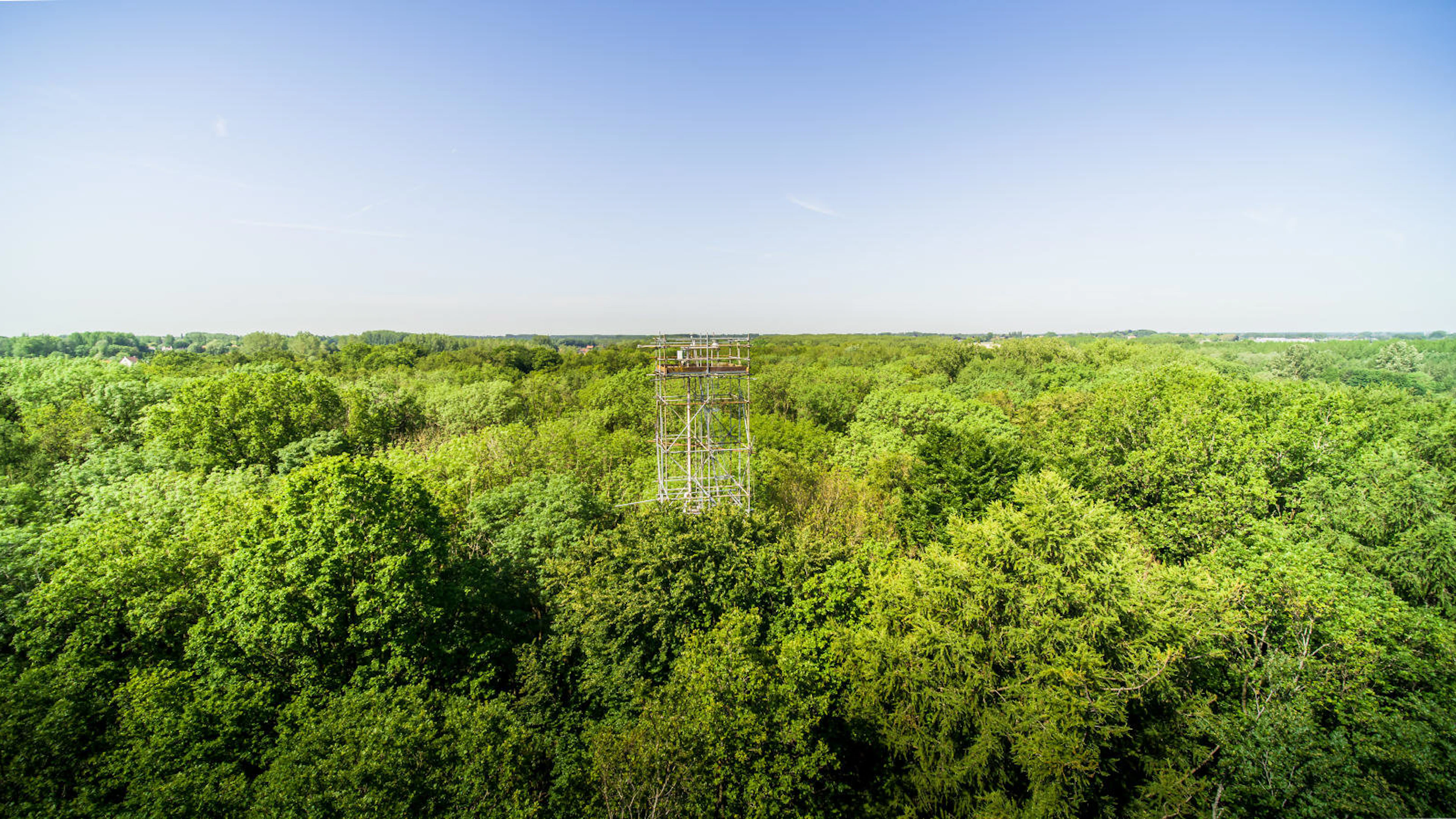 De vinger aan de pols: realtime microklimaat in het Aelmoeseneiebos