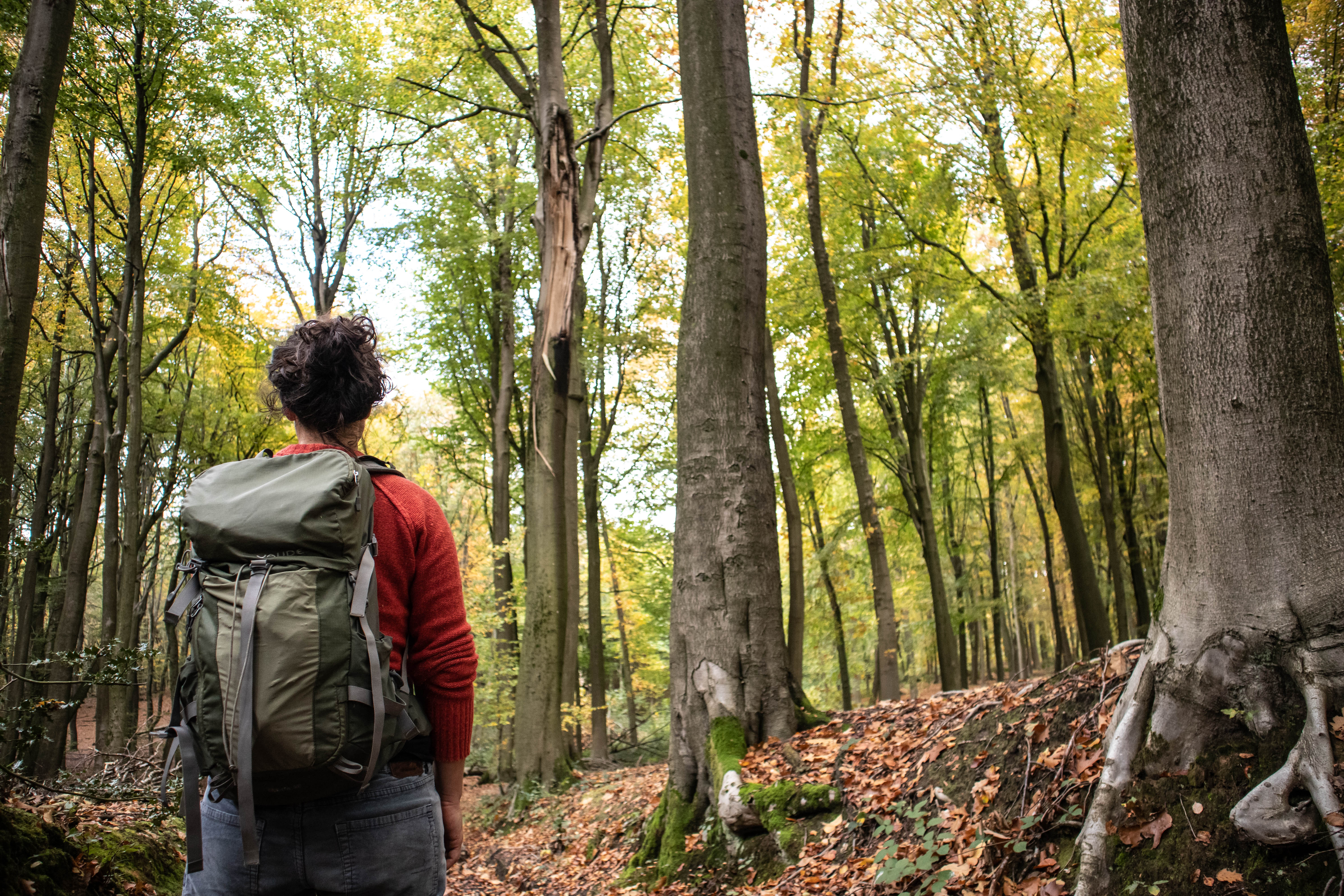 Bossen met een burn-out