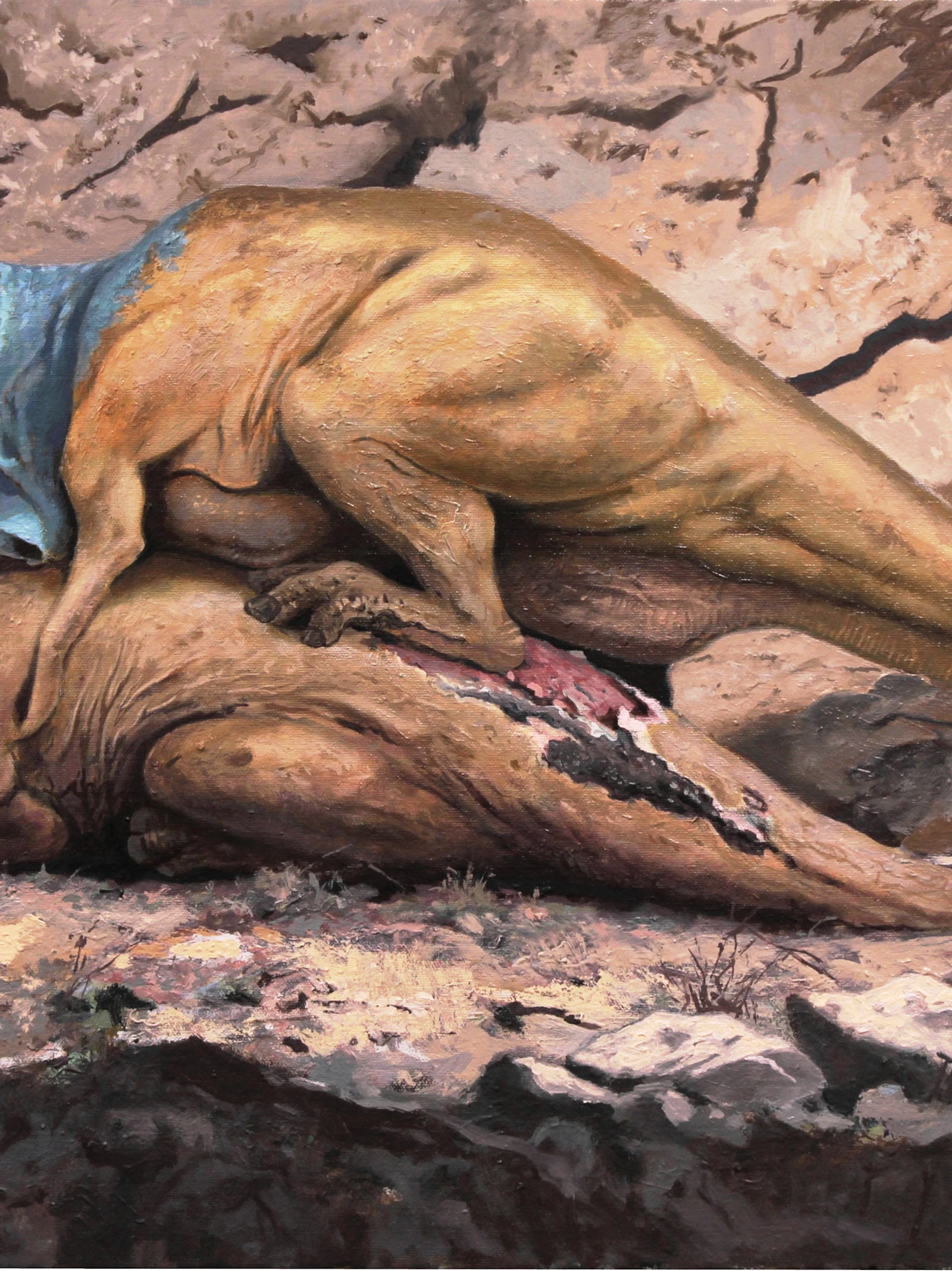 Onder het warme licht van de ondergaande zon paren twee Olorotitan, maar het gewicht van het mannetje verwondt het vrouwtje. Kunstwerk van de Italiaanse paleoartiest Troco. Onder het warme licht van de ondergaande zon paren twee Olorotitan, maar het gewicht van het mannetje verwondt het vrouwtje. Kunstwerk van de Italiaanse paleoartiest Troco.
