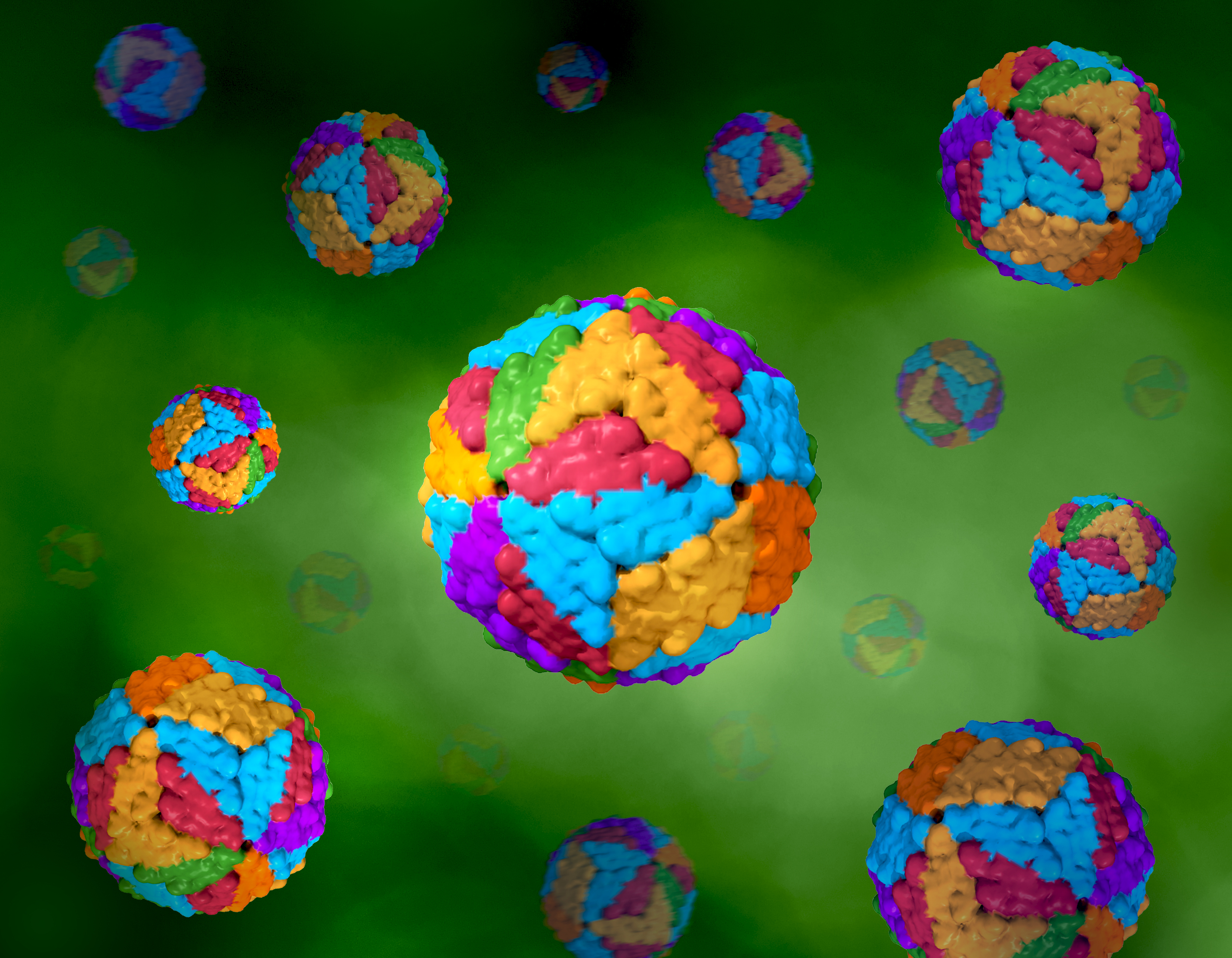 Dengue: een virus zonder grenzen