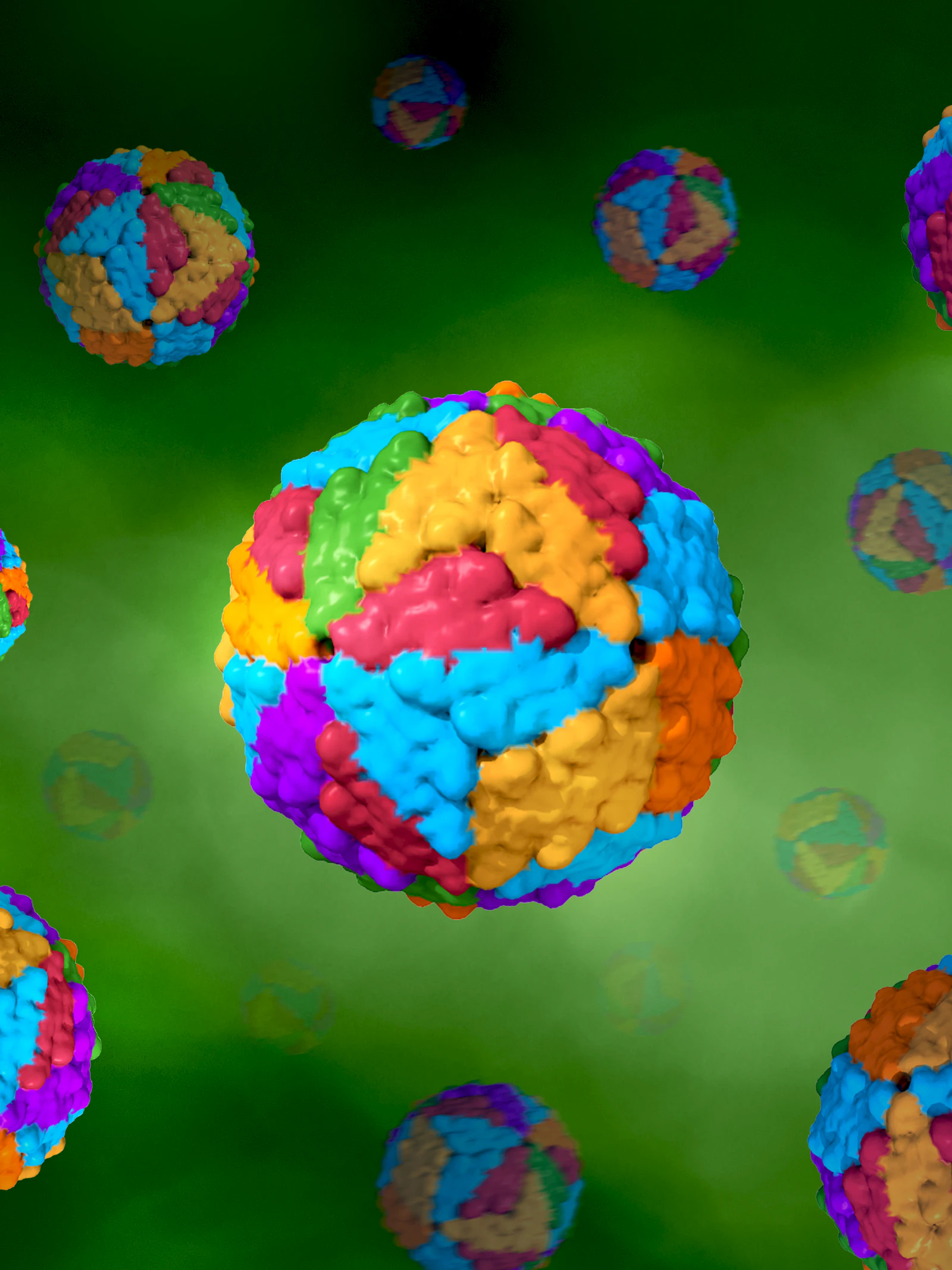 Dengue: een virus zonder grenzen