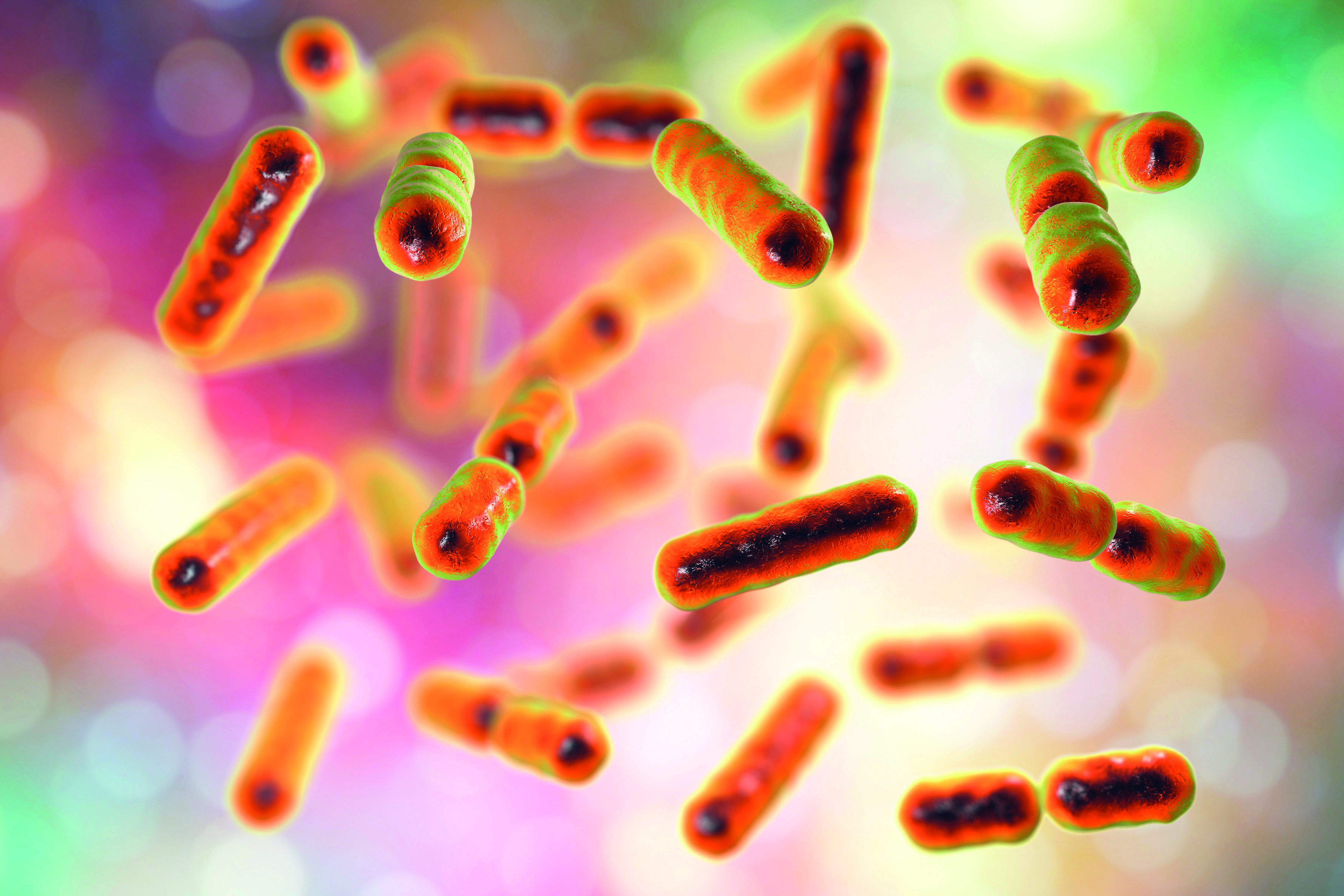 Gezonde darmbacteriën tegen fibromyalgie