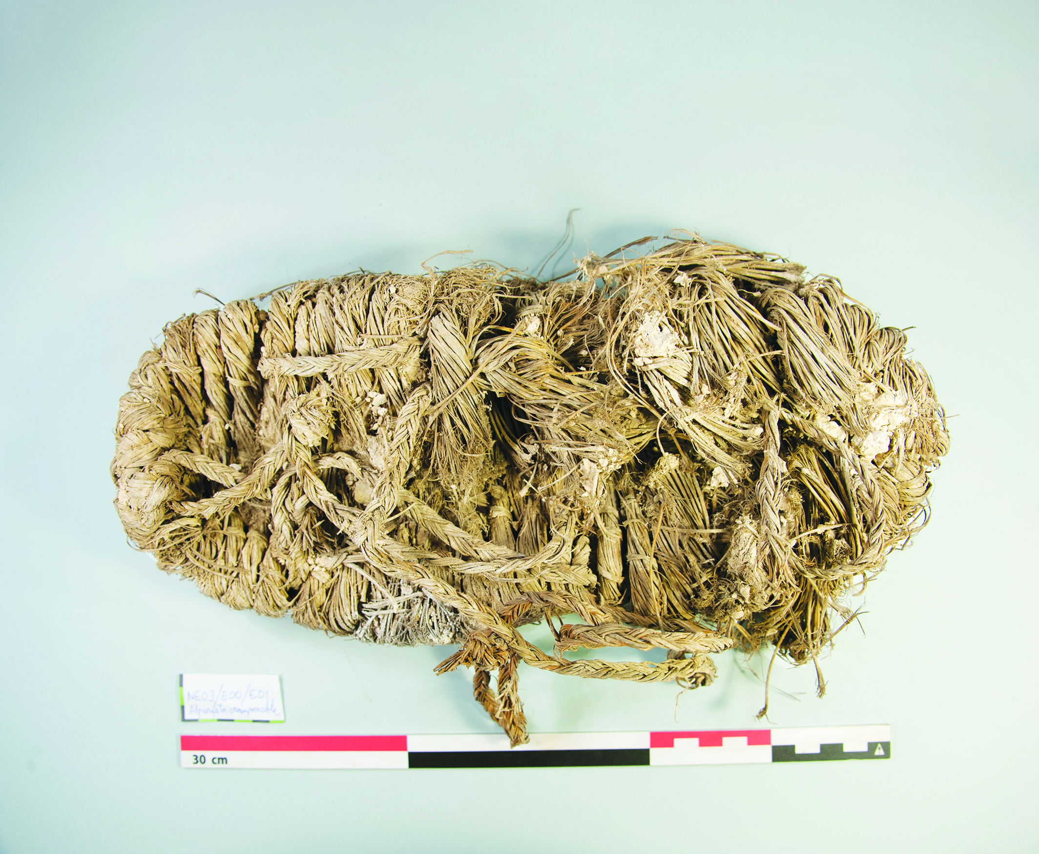 Gierennesten blijken schatten voor archeologen