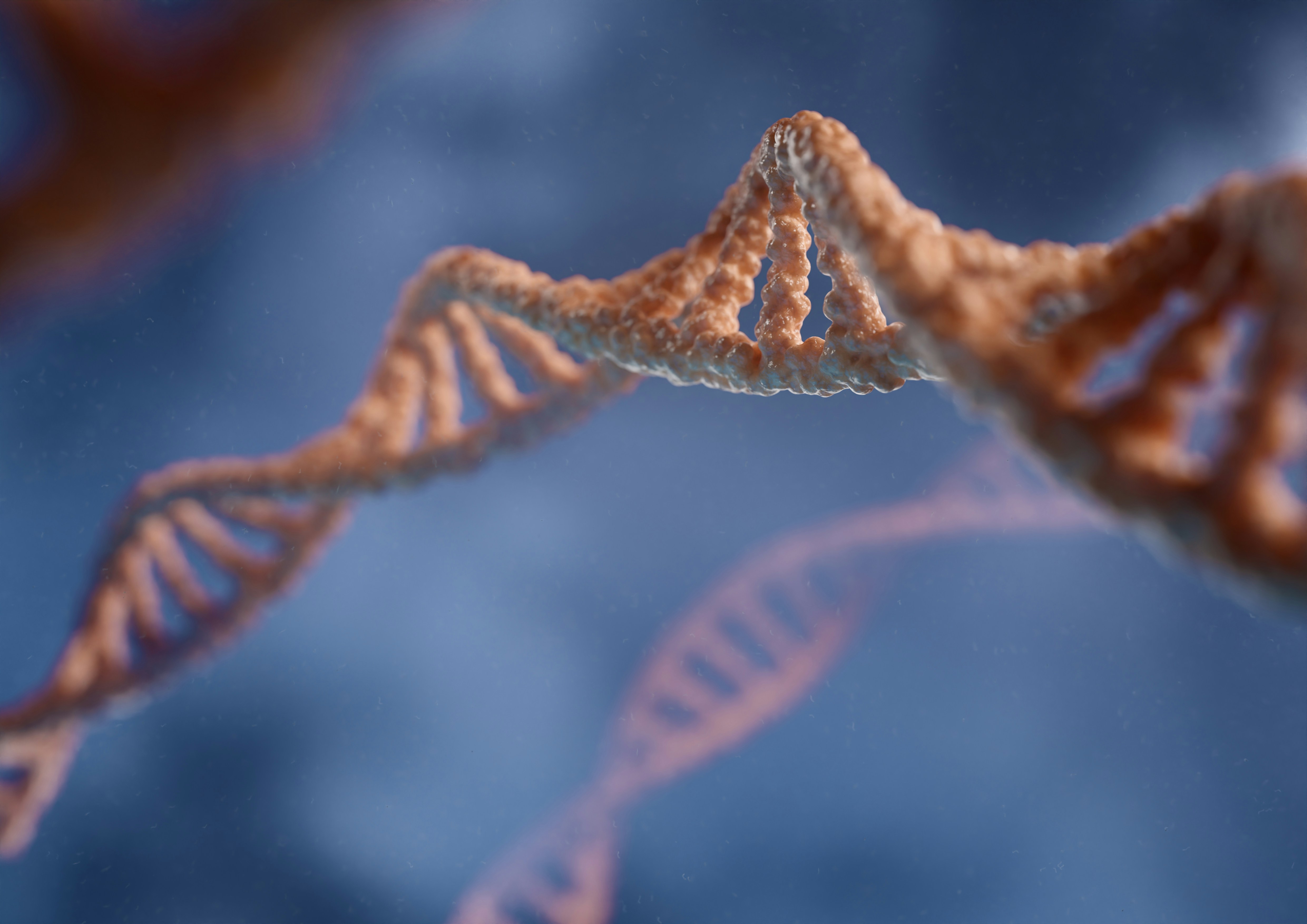 Histonen, de parelmoerkralen van je DNA