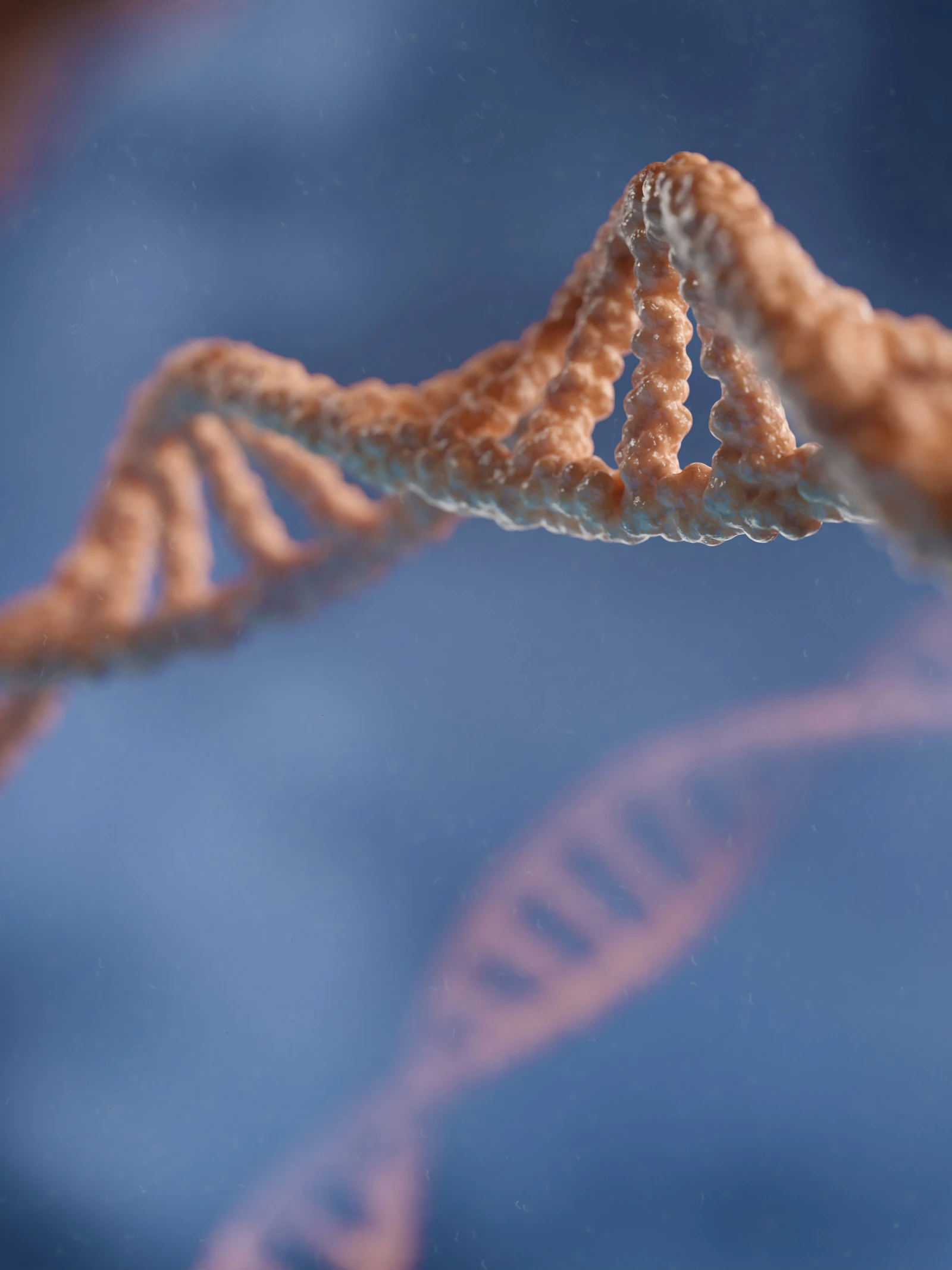 Histonen, de parelmoerkralen van je DNA
