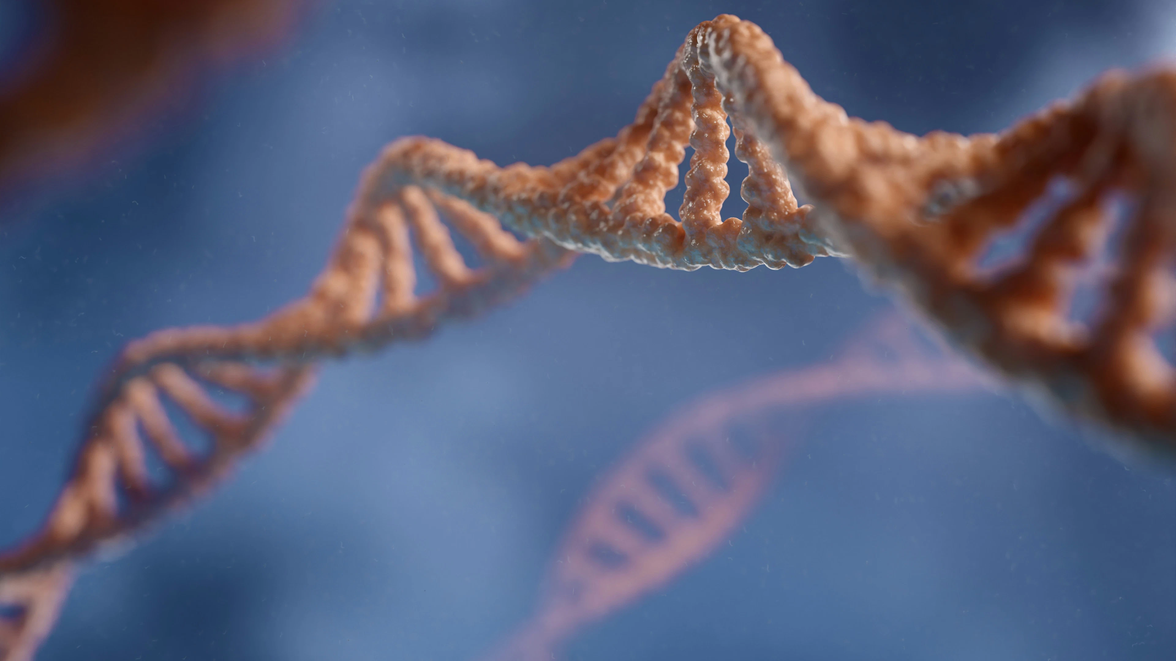 Histonen, de parelmoerkralen van je DNA