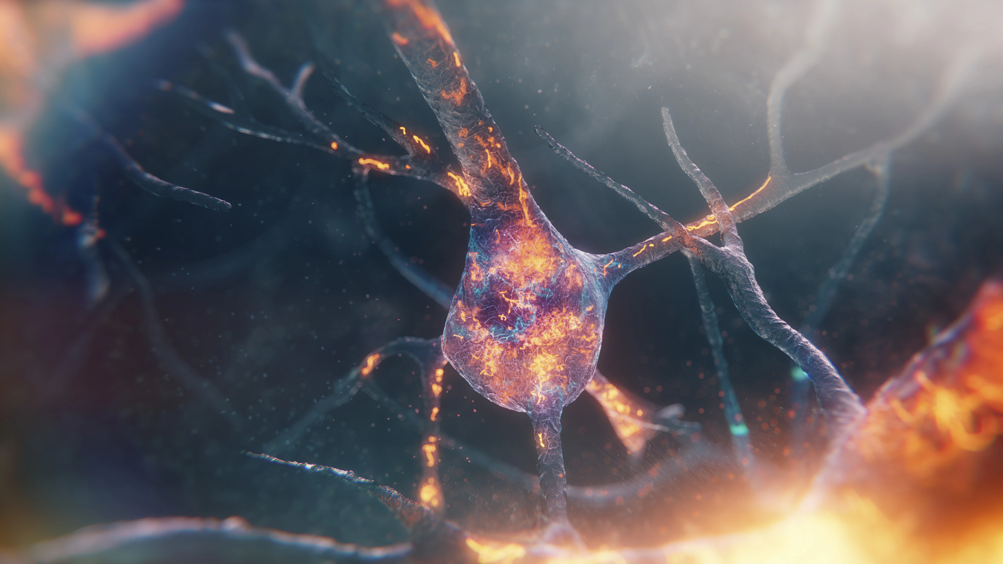 Een bloedtest voor alzheimer: nieuwe biomarker kan ziekte in vroeg stadium opsporen