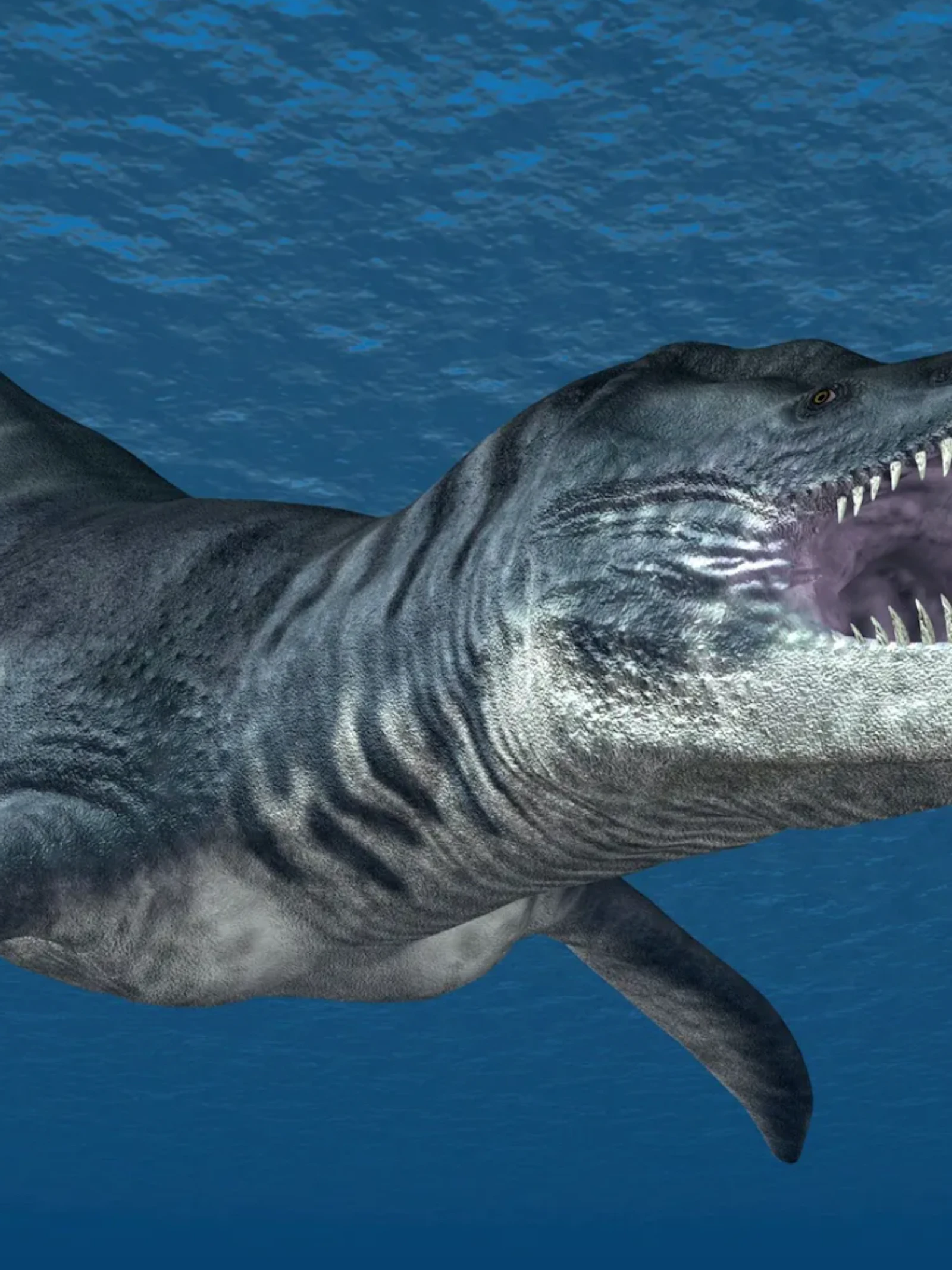 Zeedraken en andere prehistorische zeemonsters