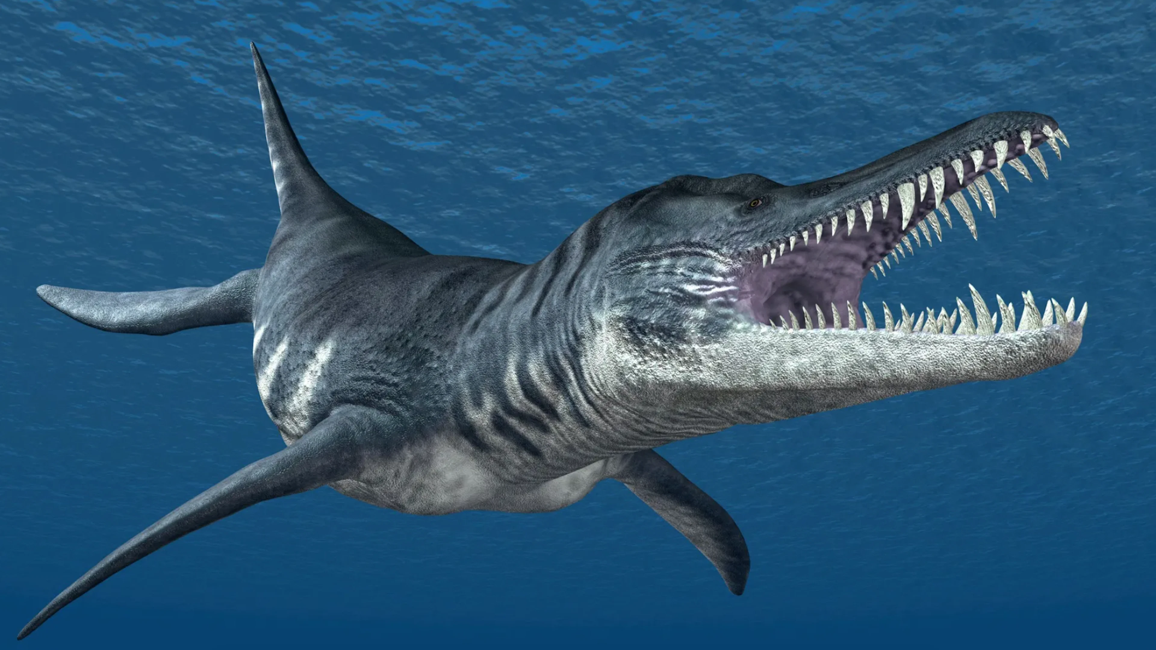 Zeedraken en andere prehistorische zeemonsters