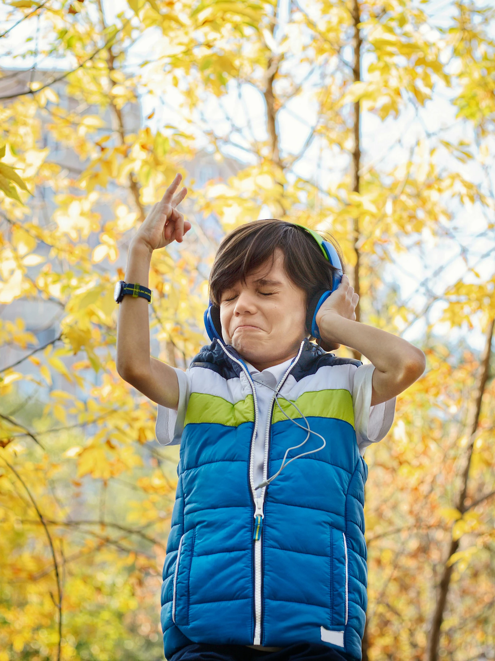 Foto door jonas mohamadi via Pexels Waarom dansen we op muziek?