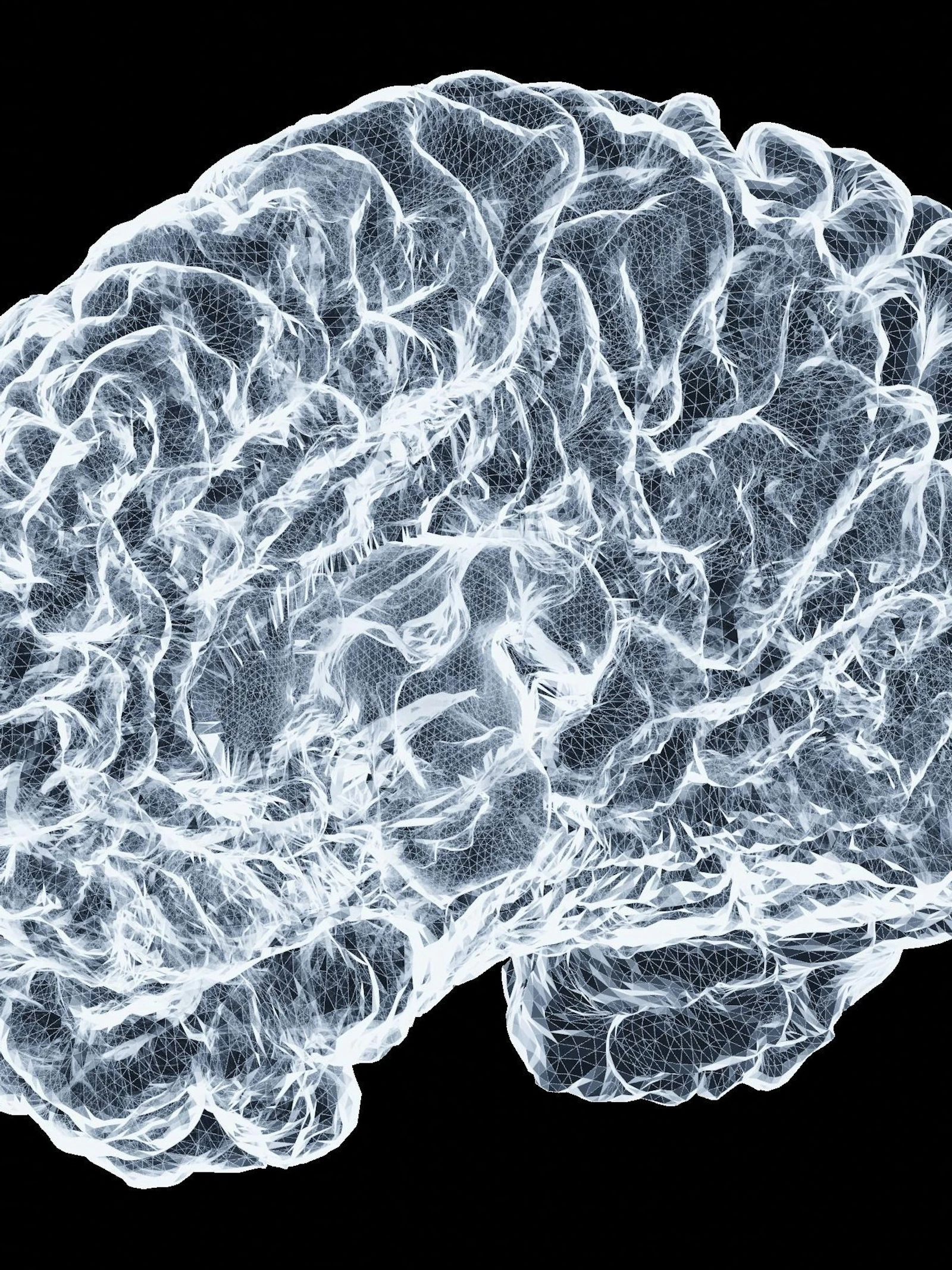Verklaring gevonden voor gevoel van ‘zelfverlies’ bij het nemen van psychedelica