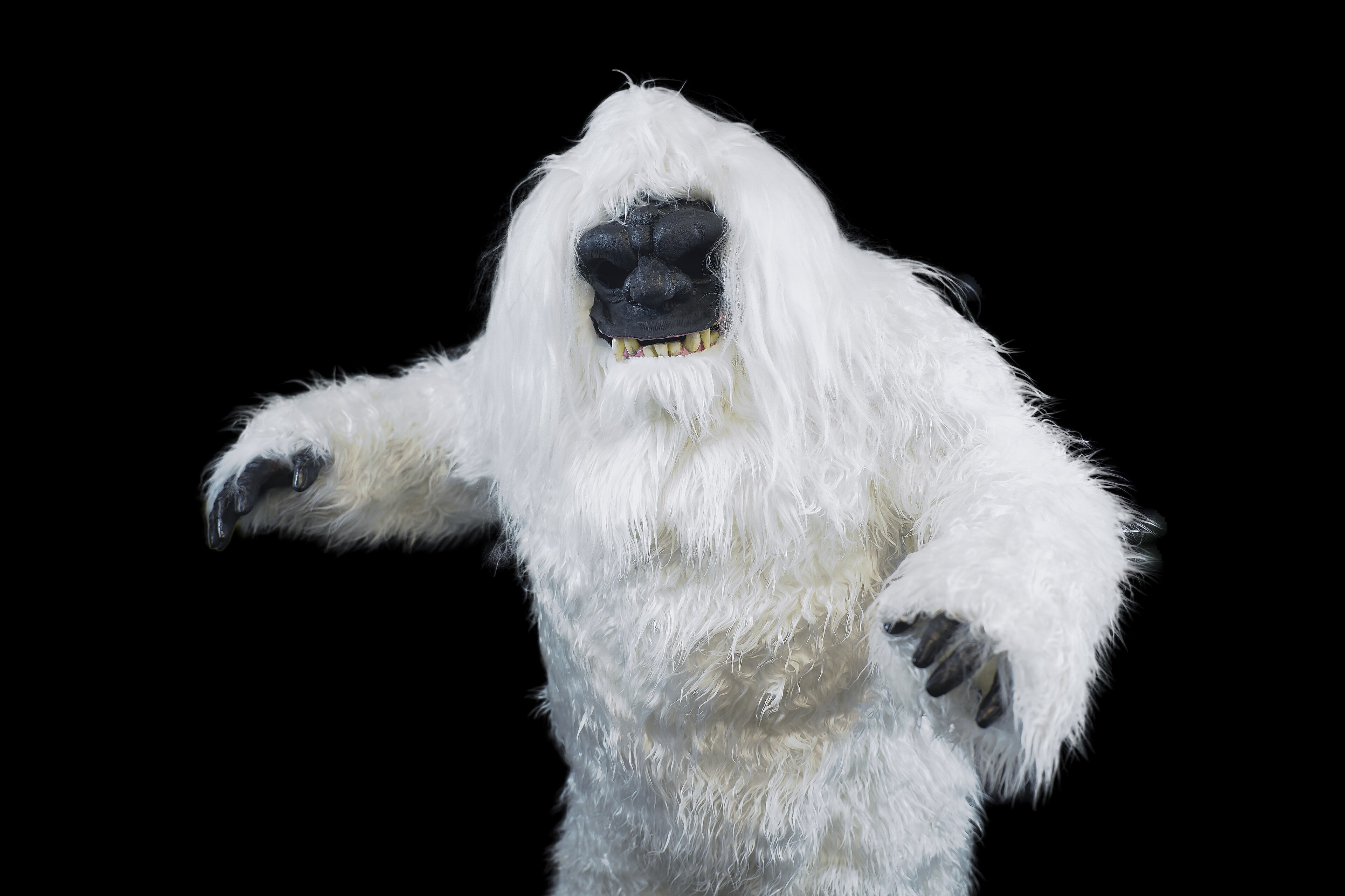 Helaas, dan toch geen echte yeti