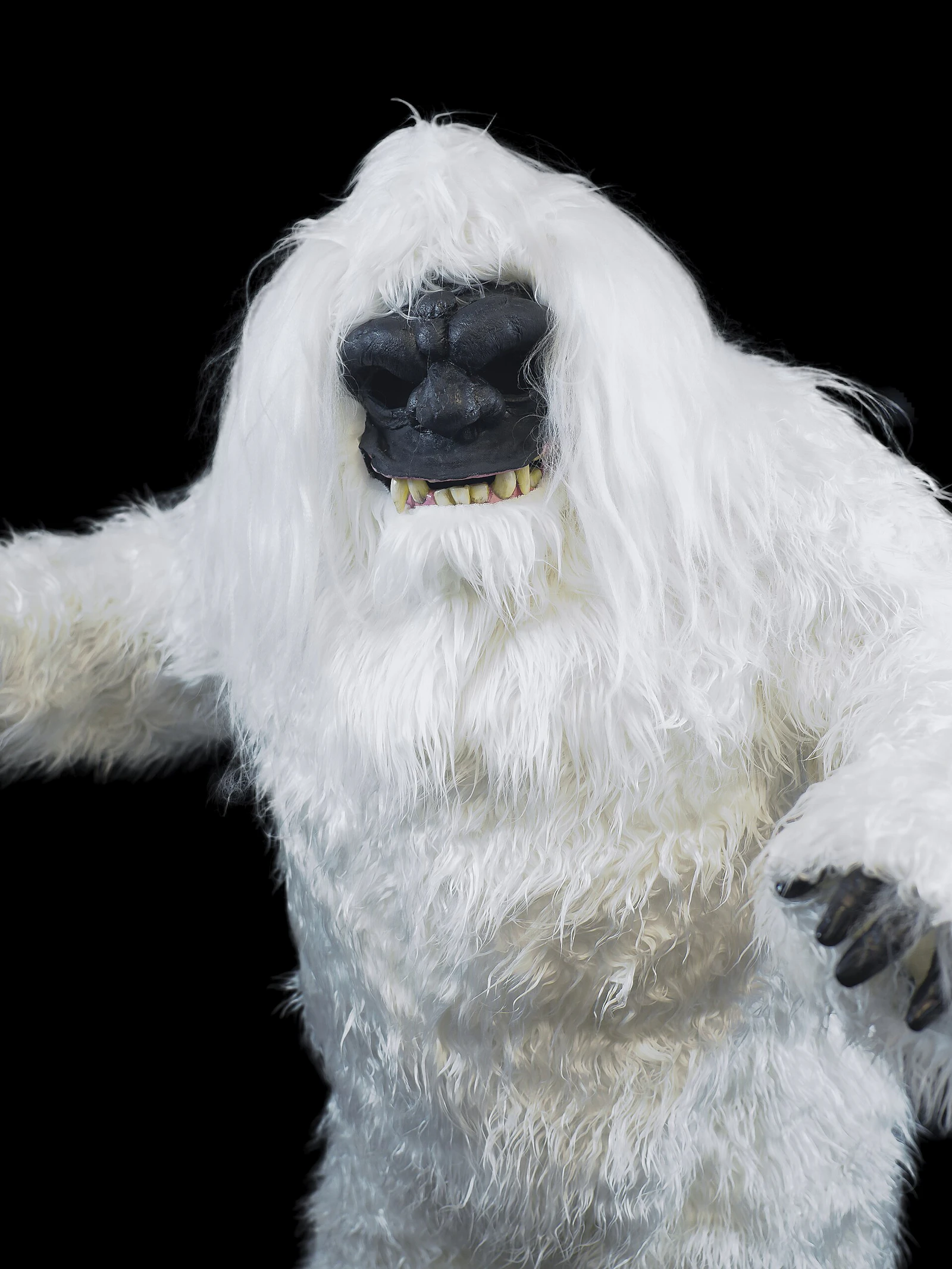 Helaas, dan toch geen echte yeti