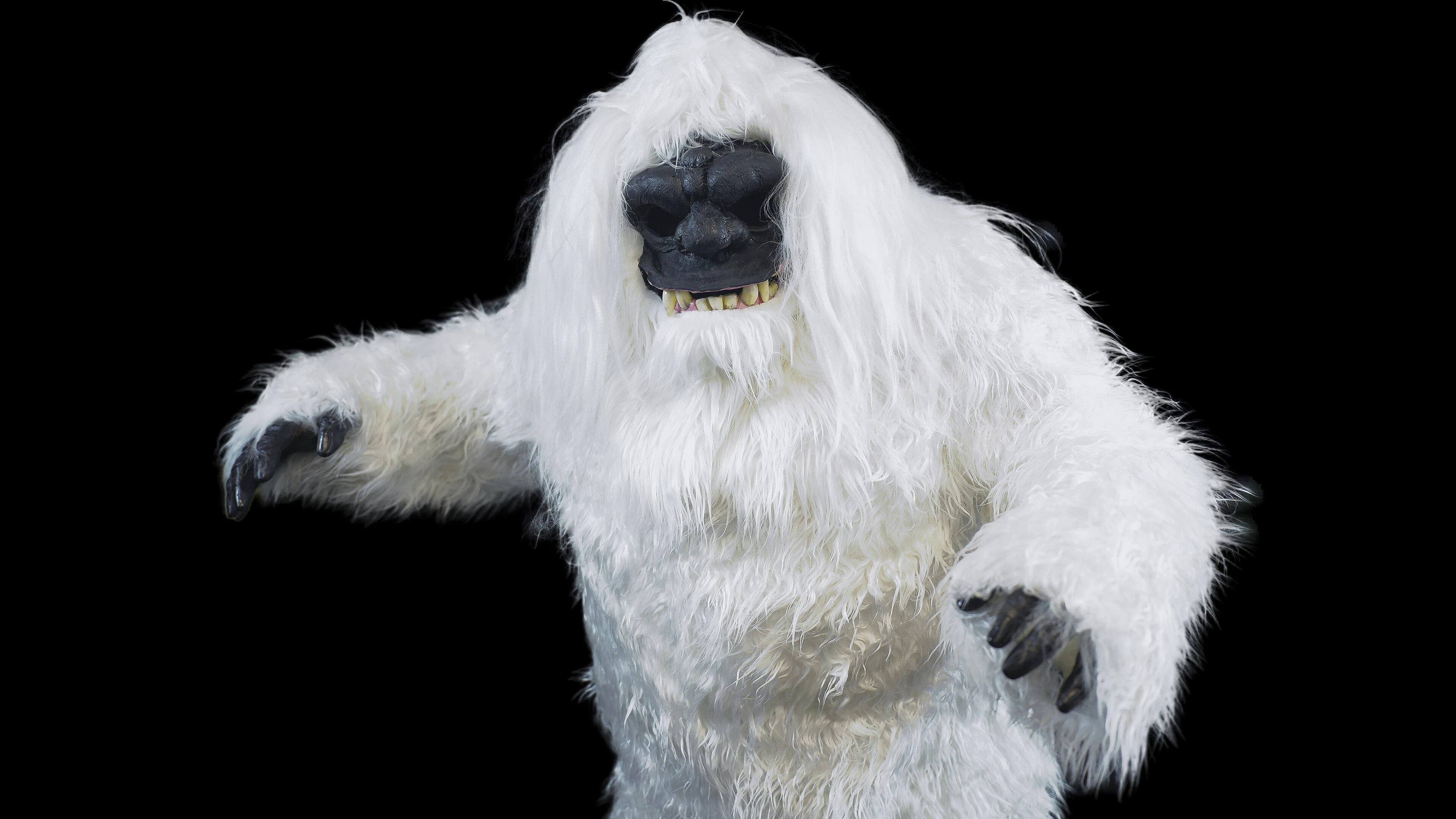 Helaas, dan toch geen echte yeti
