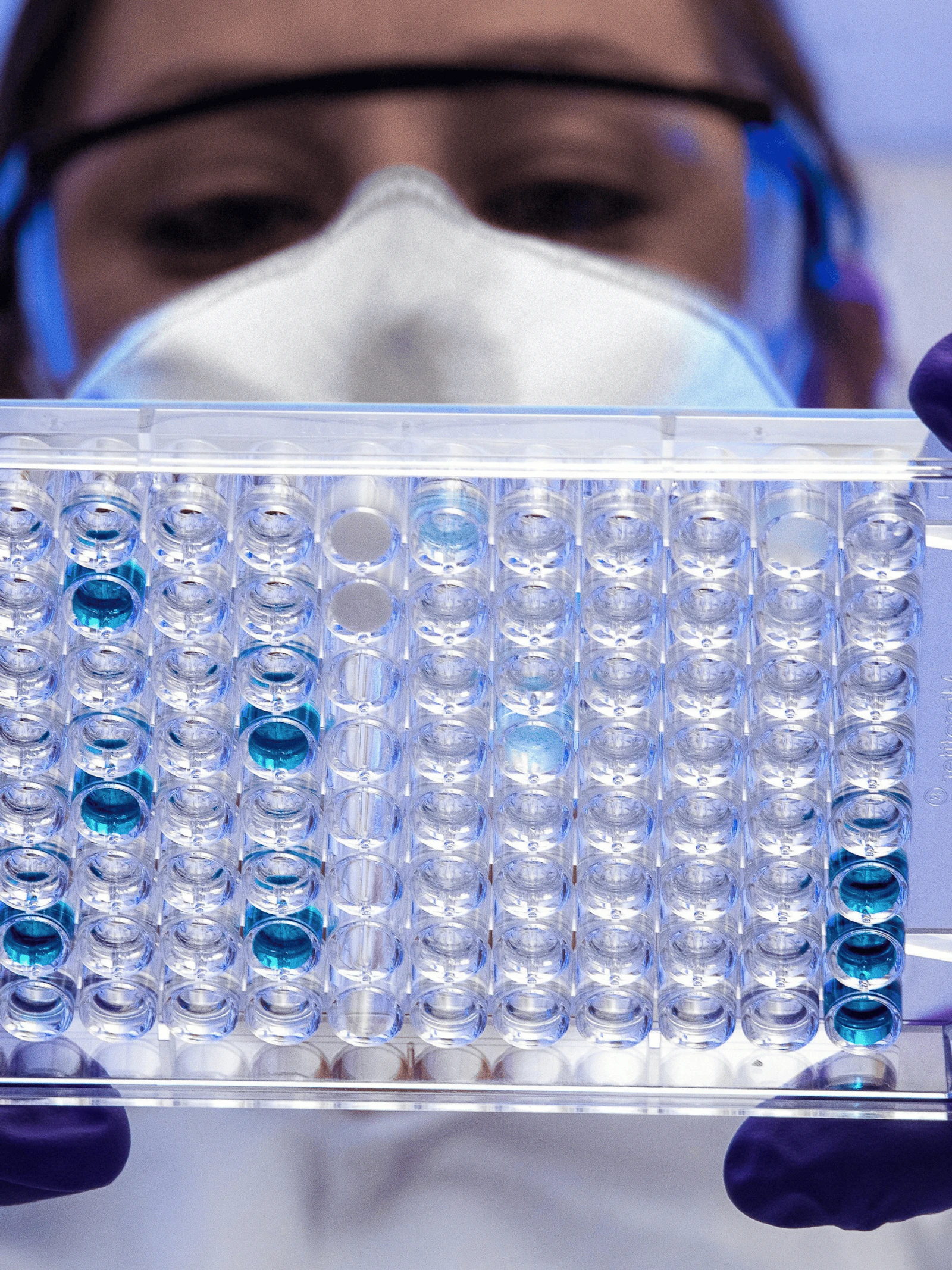 CRISPR-Cas kan antibiotica-resistentie in bacteriën uitschakelen