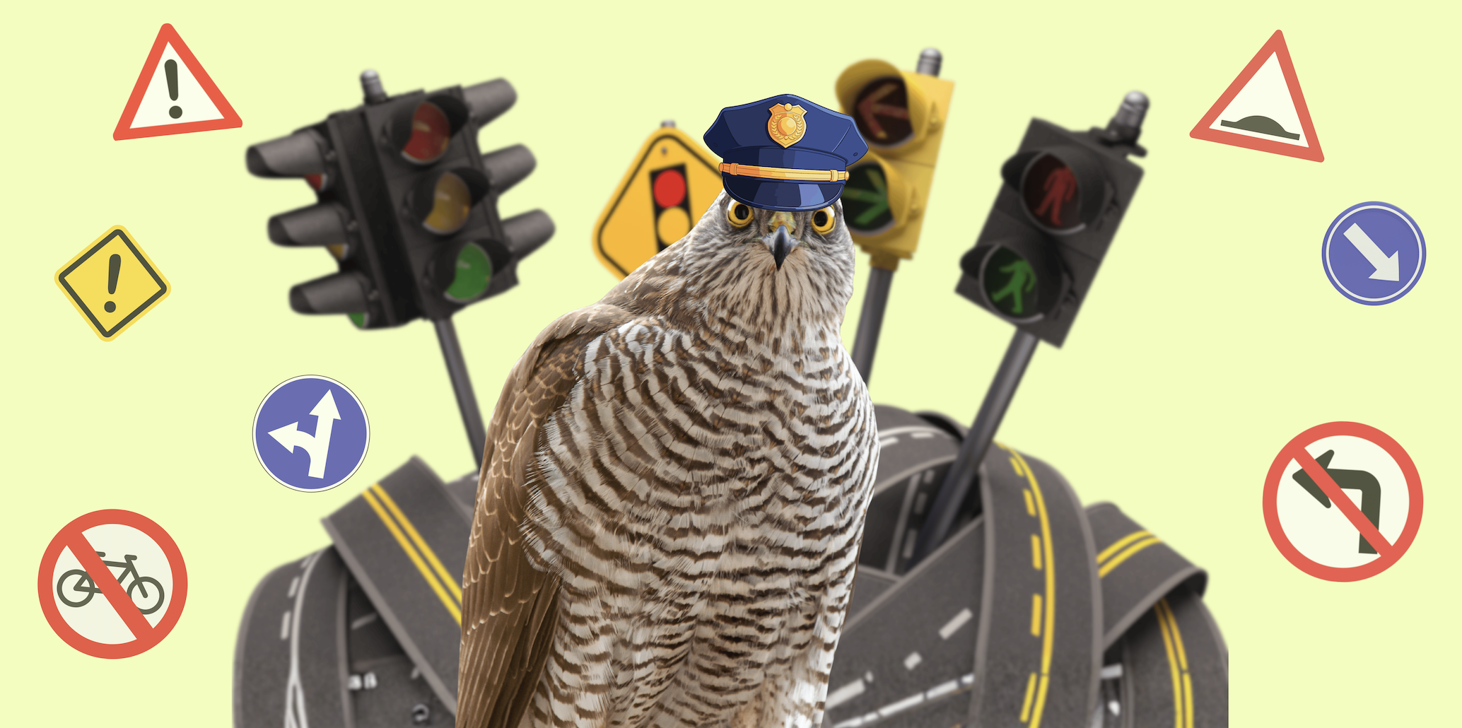 Deze vogel houdt zich aan de verkeersregels