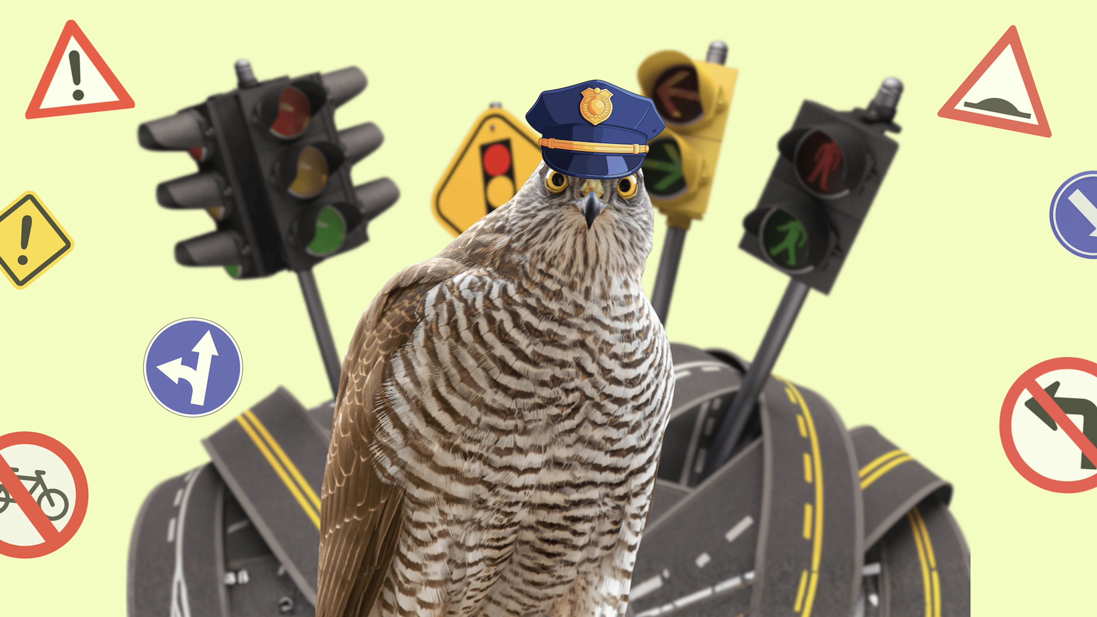 Deze vogel houdt zich aan de verkeersregels