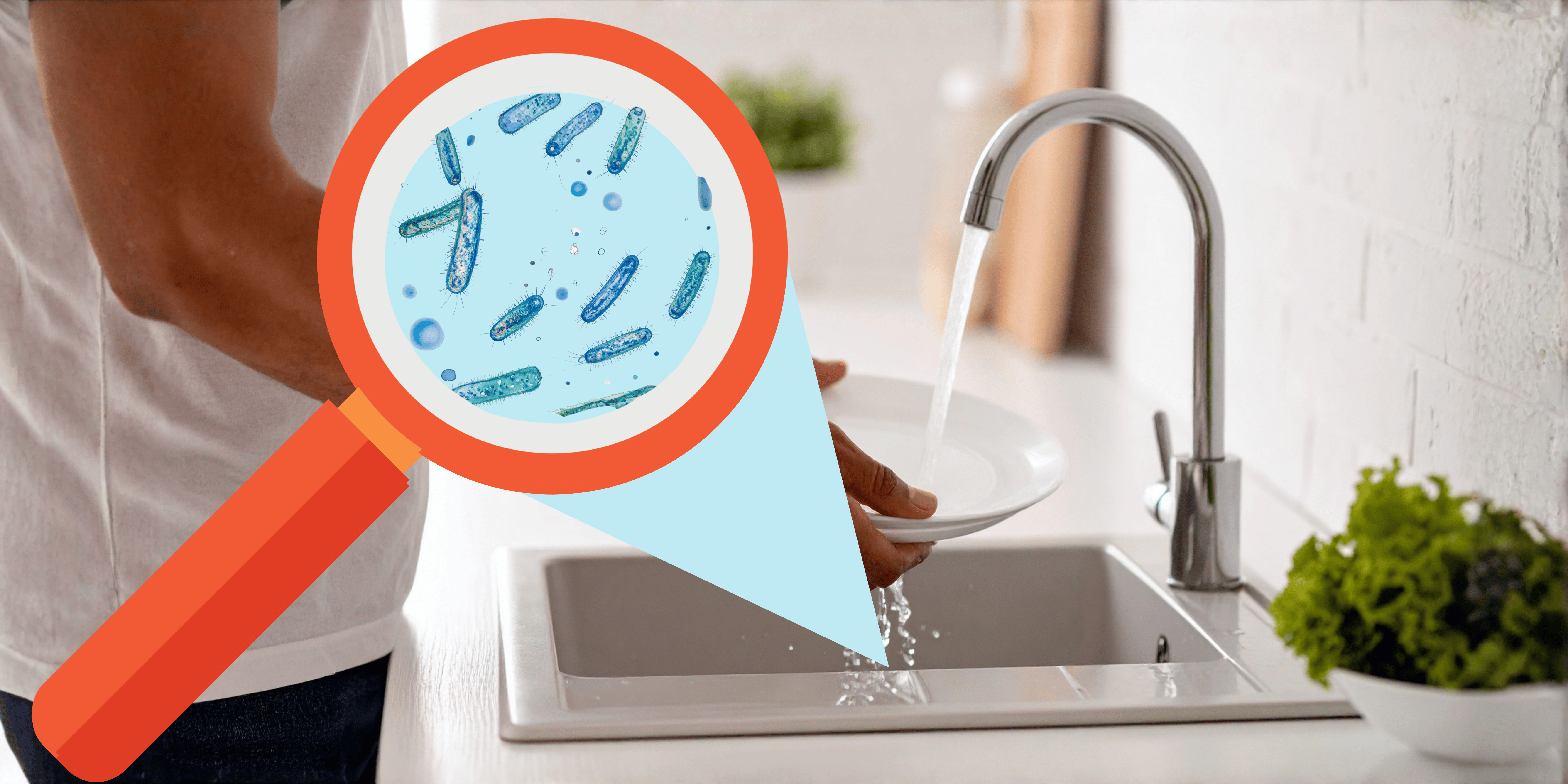 Op safari in huis: POEMBAKteriën in je keuken