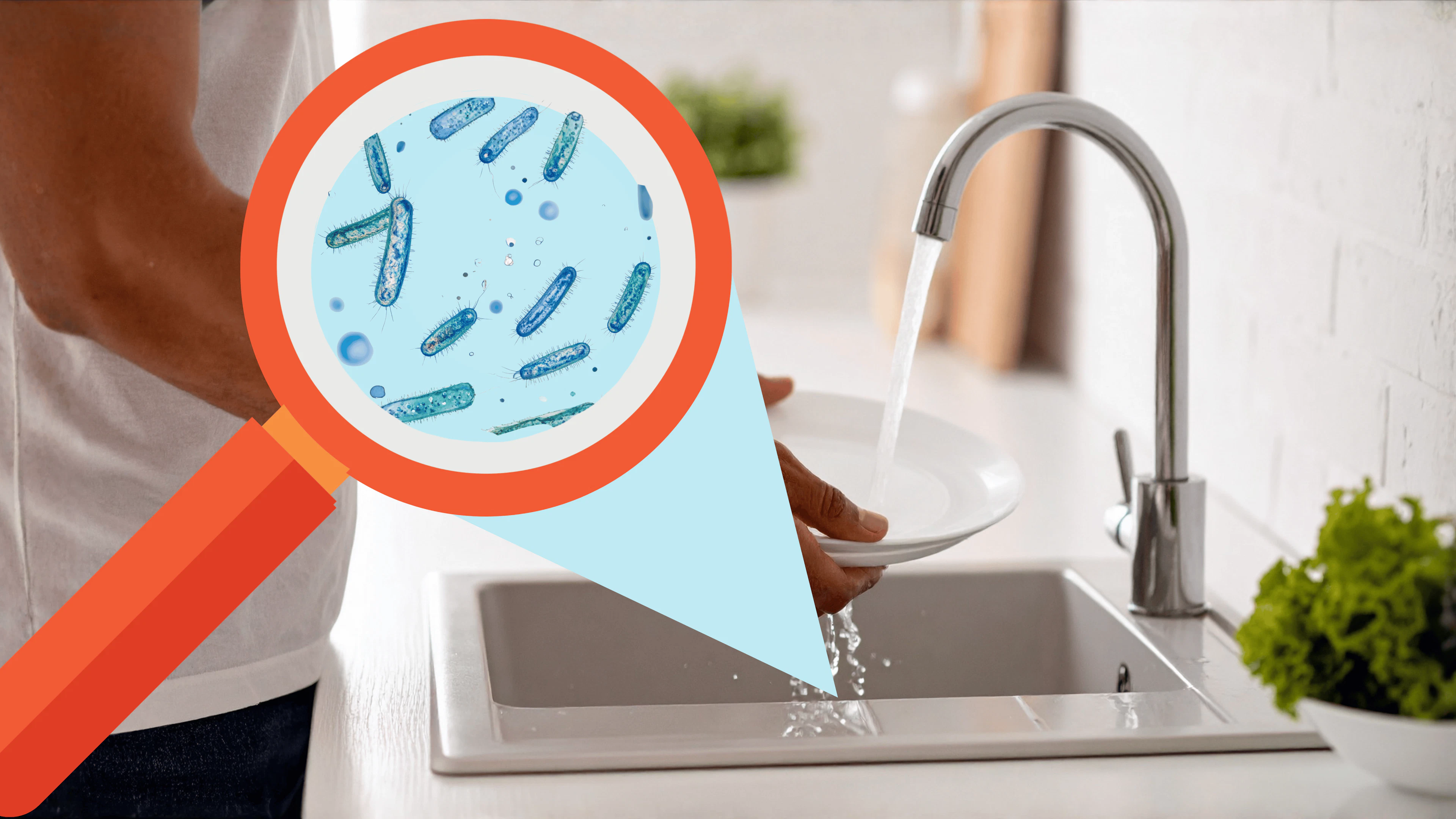Op safari in huis: POEMBAKteriën in je keuken