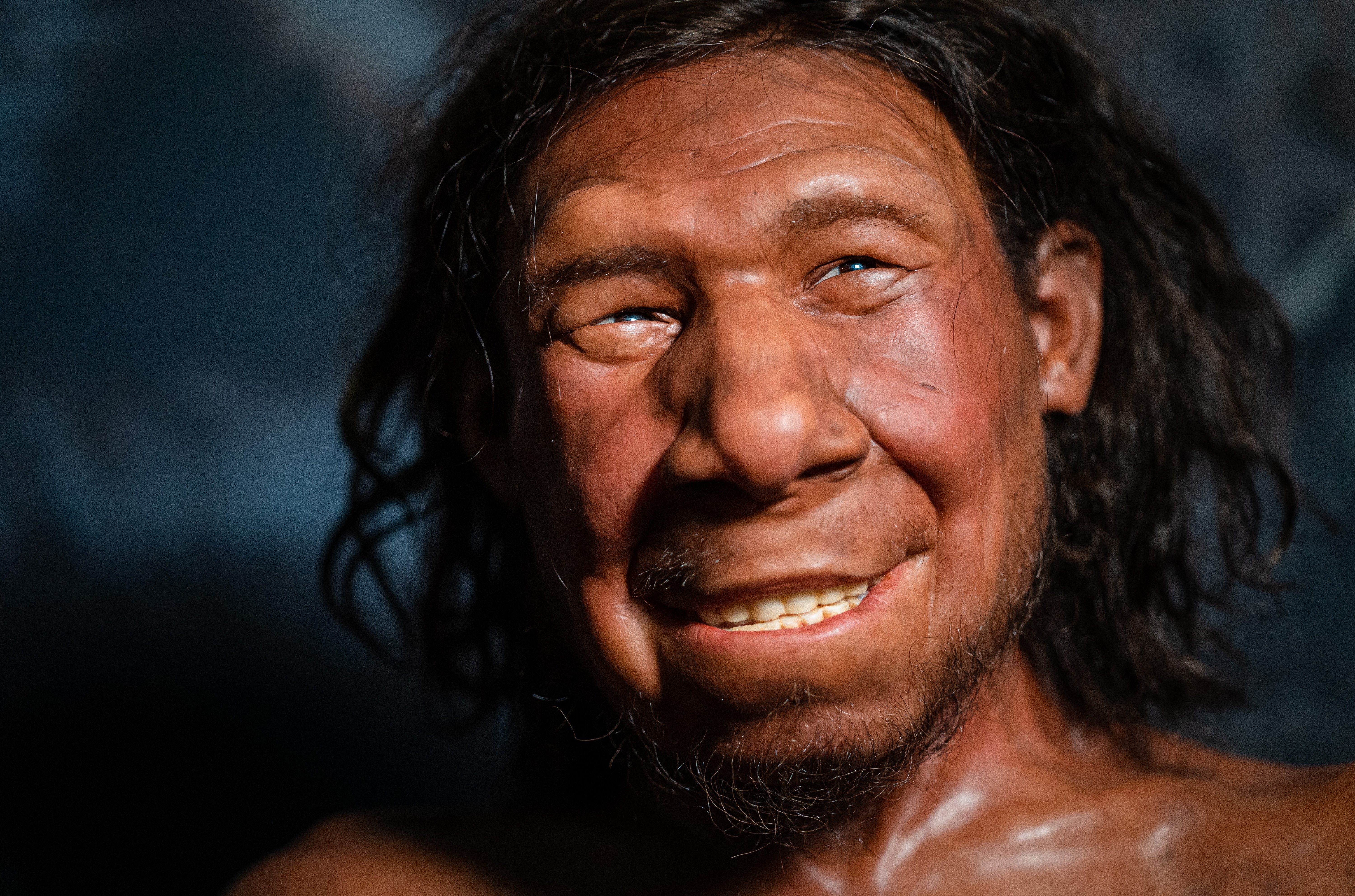 Seks tussen mens en neanderthaler was vooral tussen neanderthalerman en mensenvrouw
