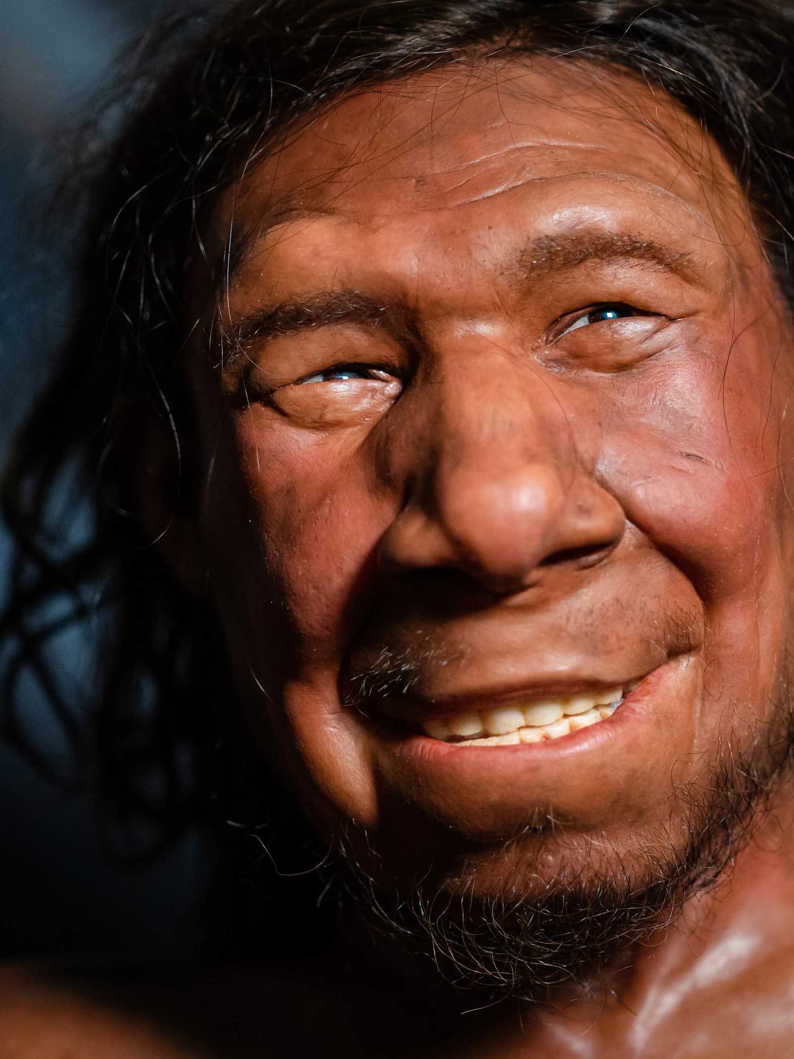 Seks tussen mens en neanderthaler was vooral tussen neanderthalerman en mensenvrouw
