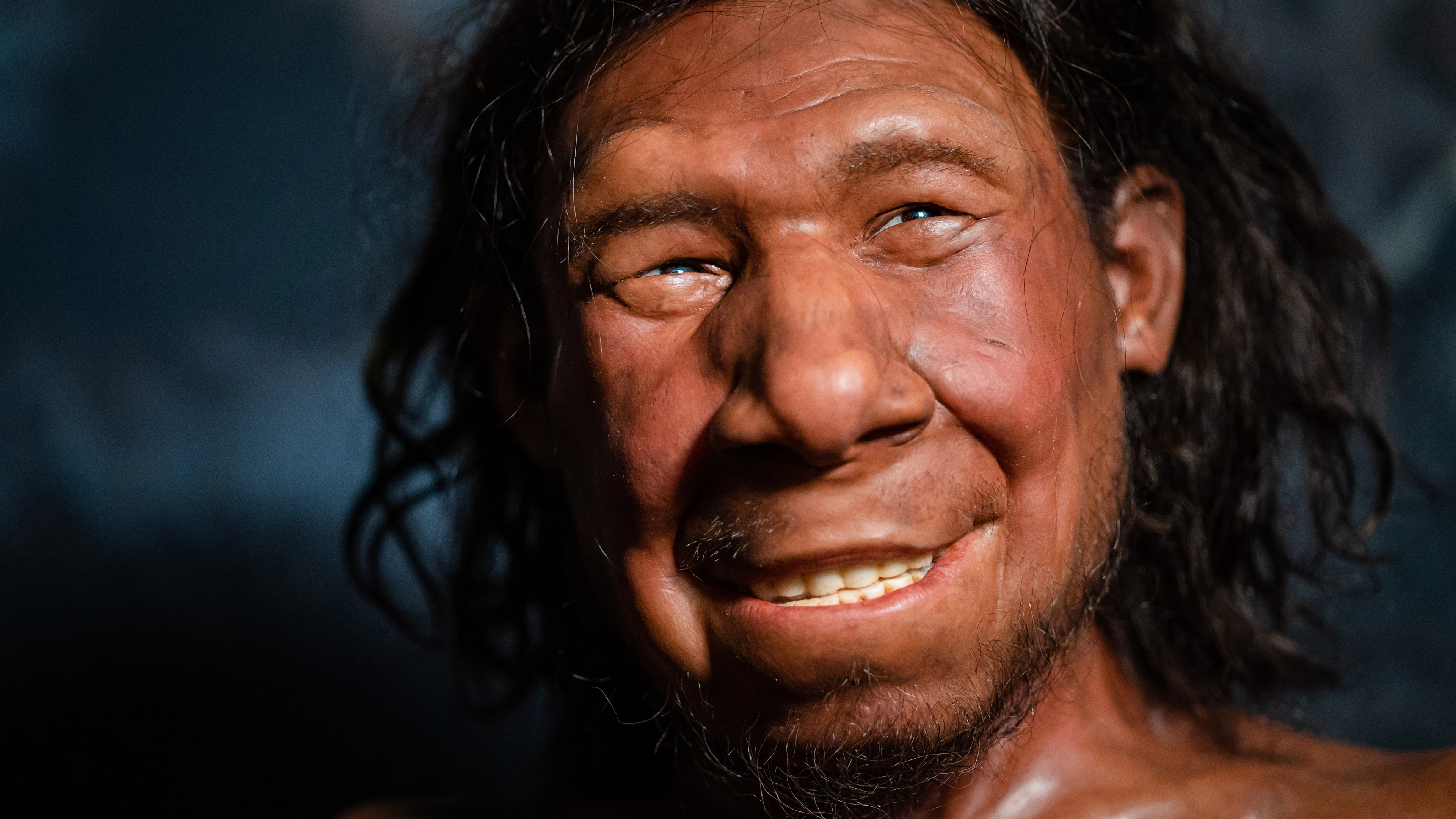 Seks tussen mens en neanderthaler was vooral tussen neanderthalerman en mensenvrouw
