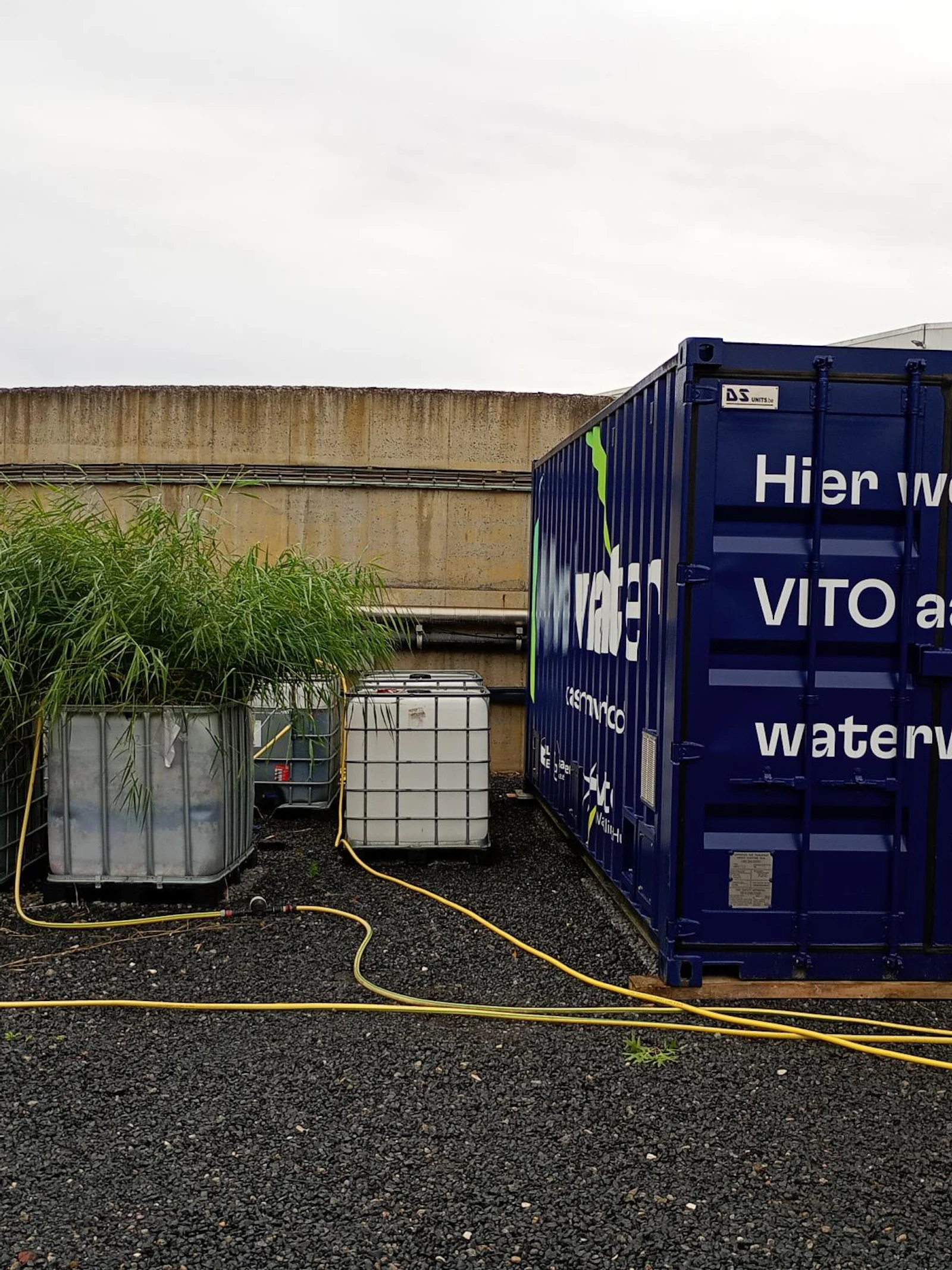 VITO VITO en UGent onderzoeken hoe pesticiden uit afvalwater van groenten kunnen worden verwijderd
