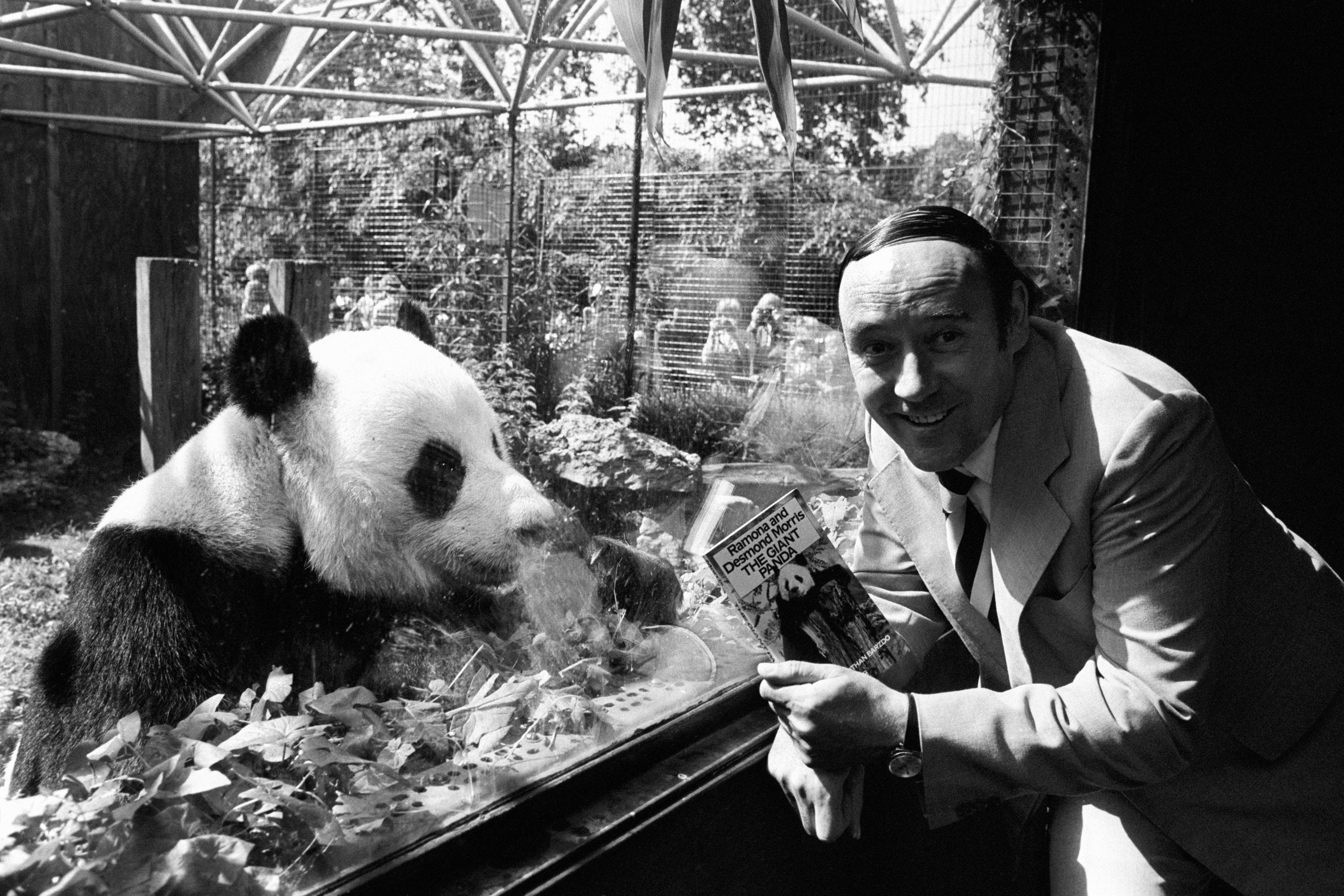 Desmond Morris, schrijver van ‘De Naakte Aap’, overleden op 98-jarige leeftijd
