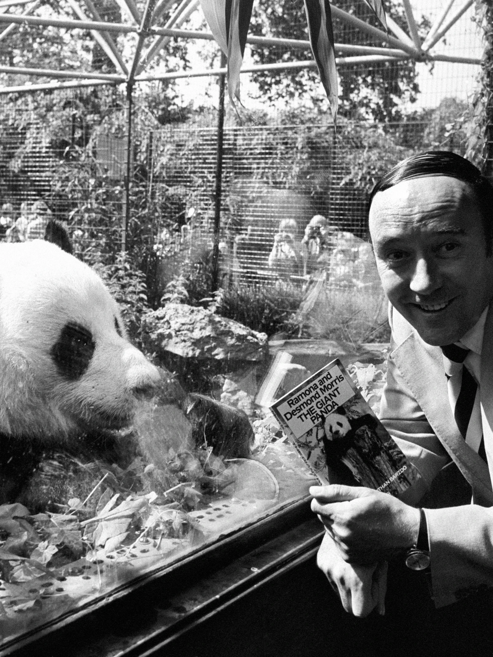 Desmond Morris, schrijver van ‘De Naakte Aap’, overleden op 98-jarige leeftijd