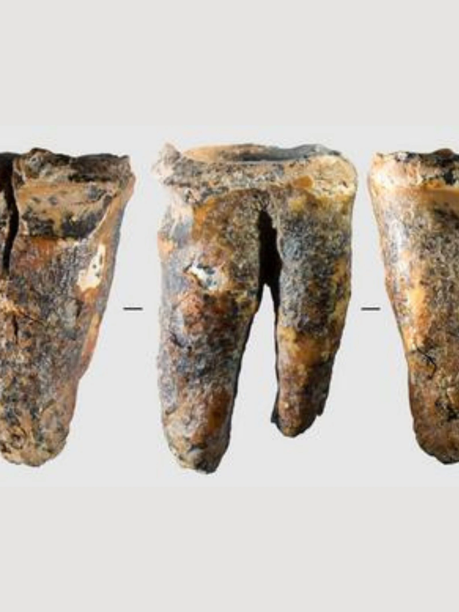 Neanderthalers gingen al naar de tandarts