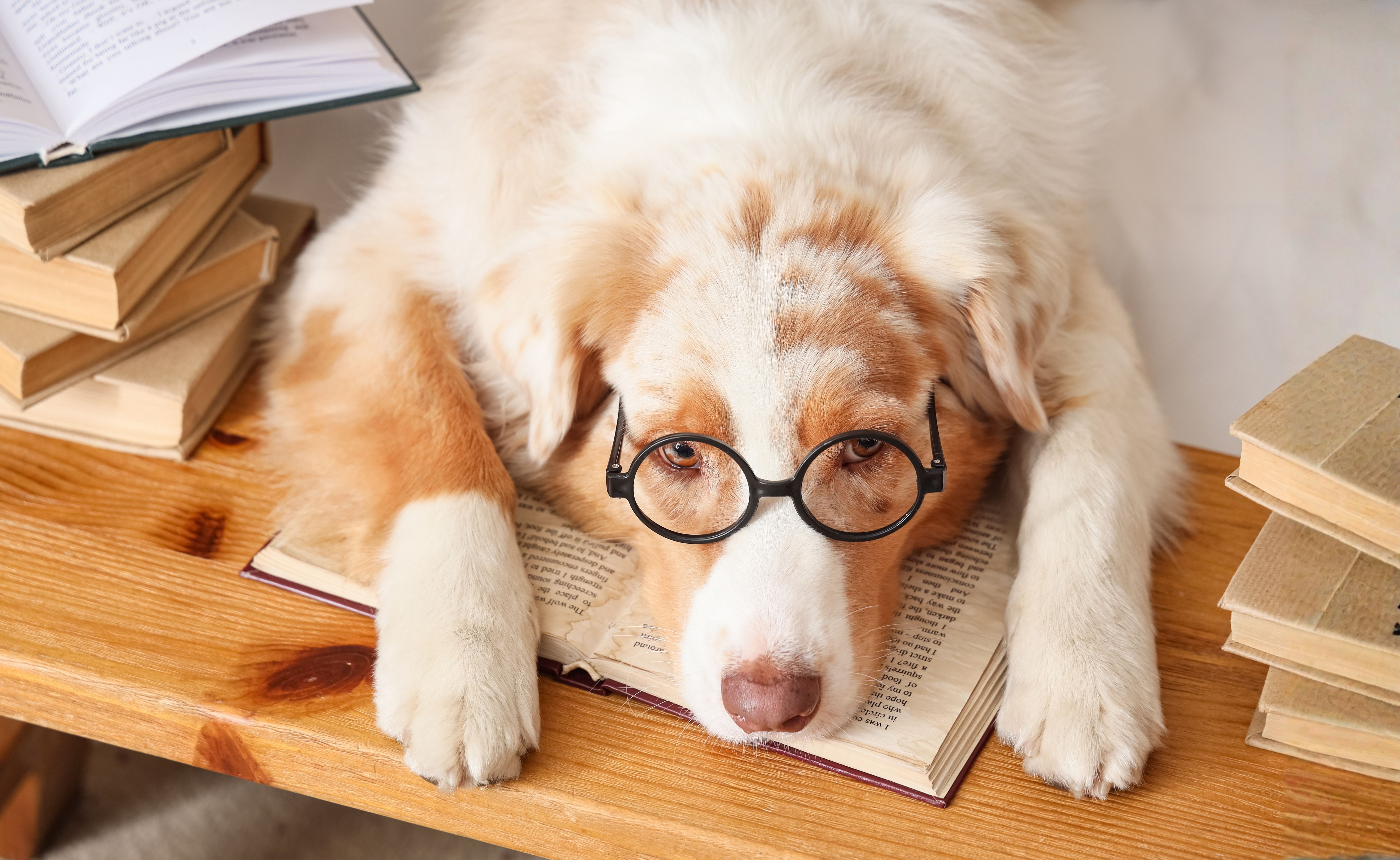 Word je slimmer van boeken lezen?