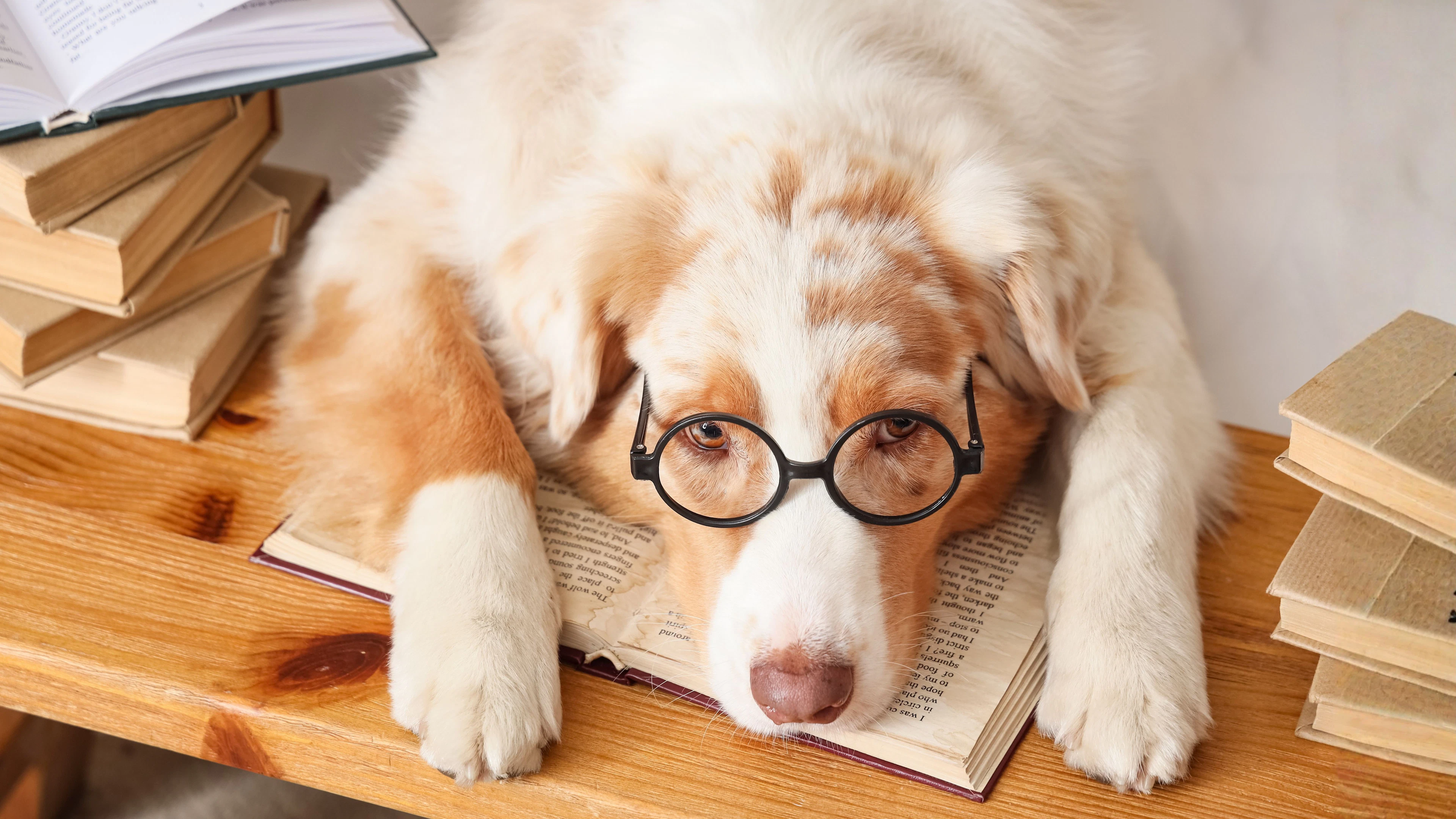 Word je slimmer van boeken lezen?