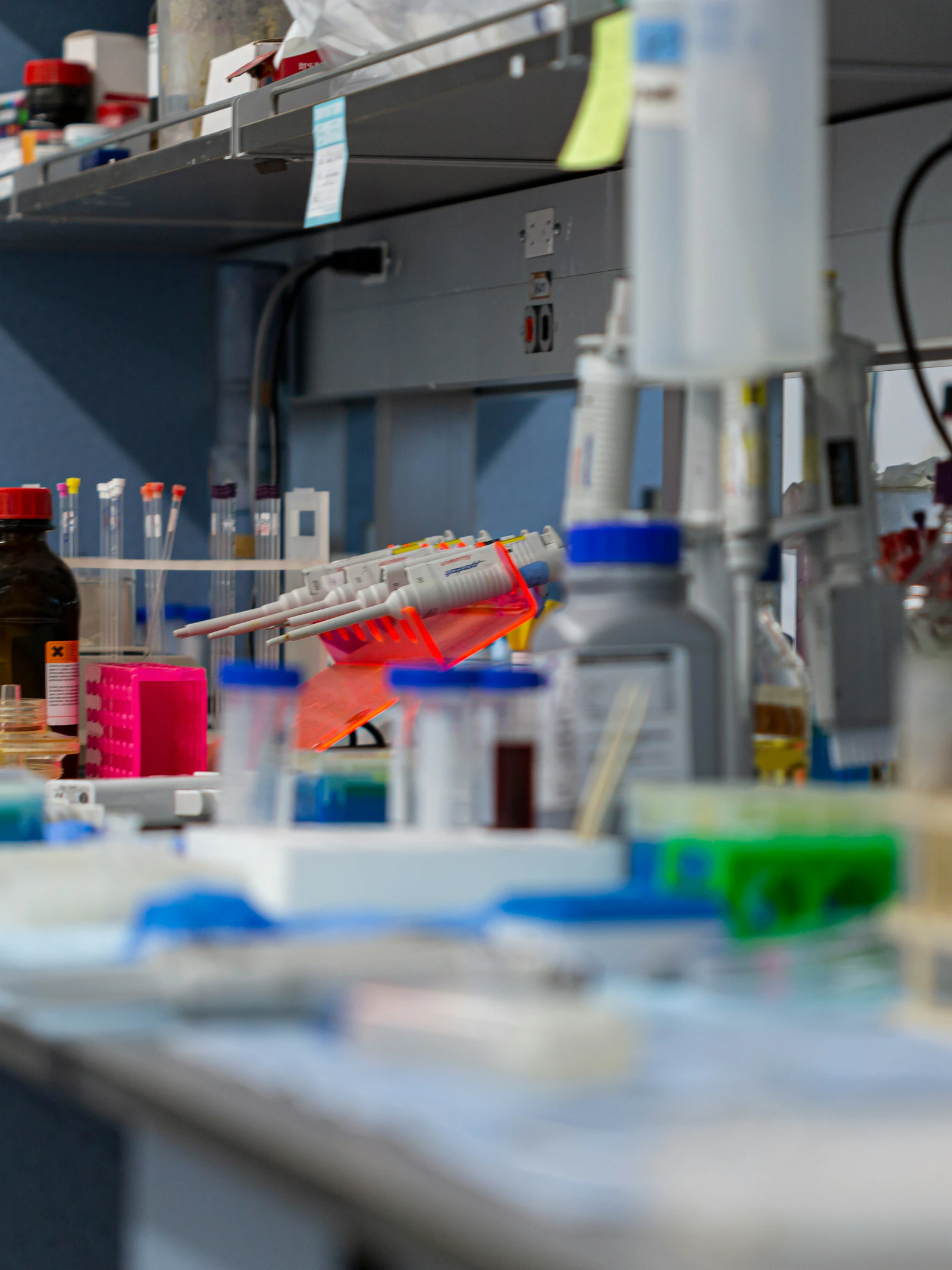 Deze bacteriën zijn de bewakers van onze gezondheid