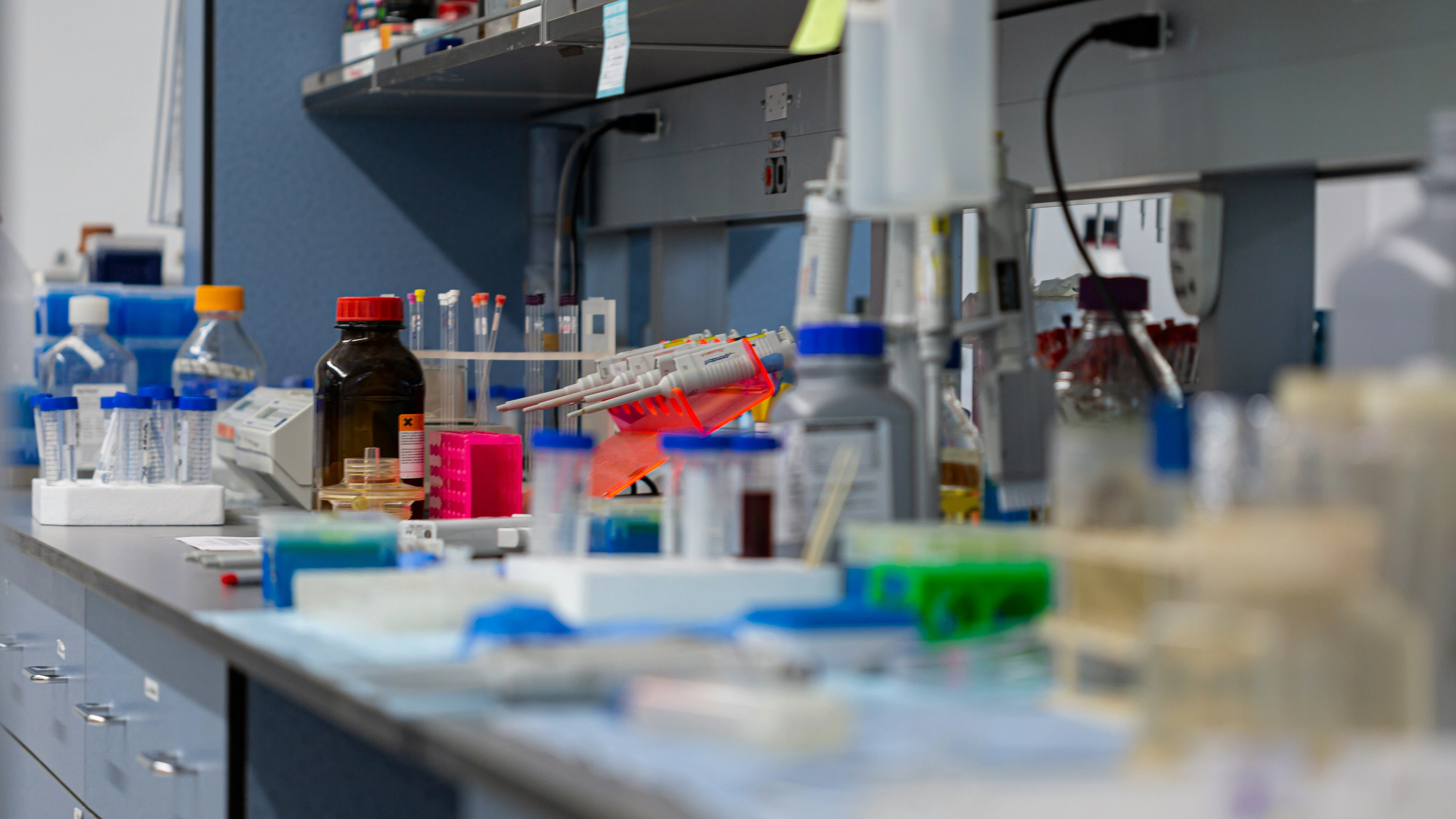 Deze bacteriën zijn de bewakers van onze gezondheid