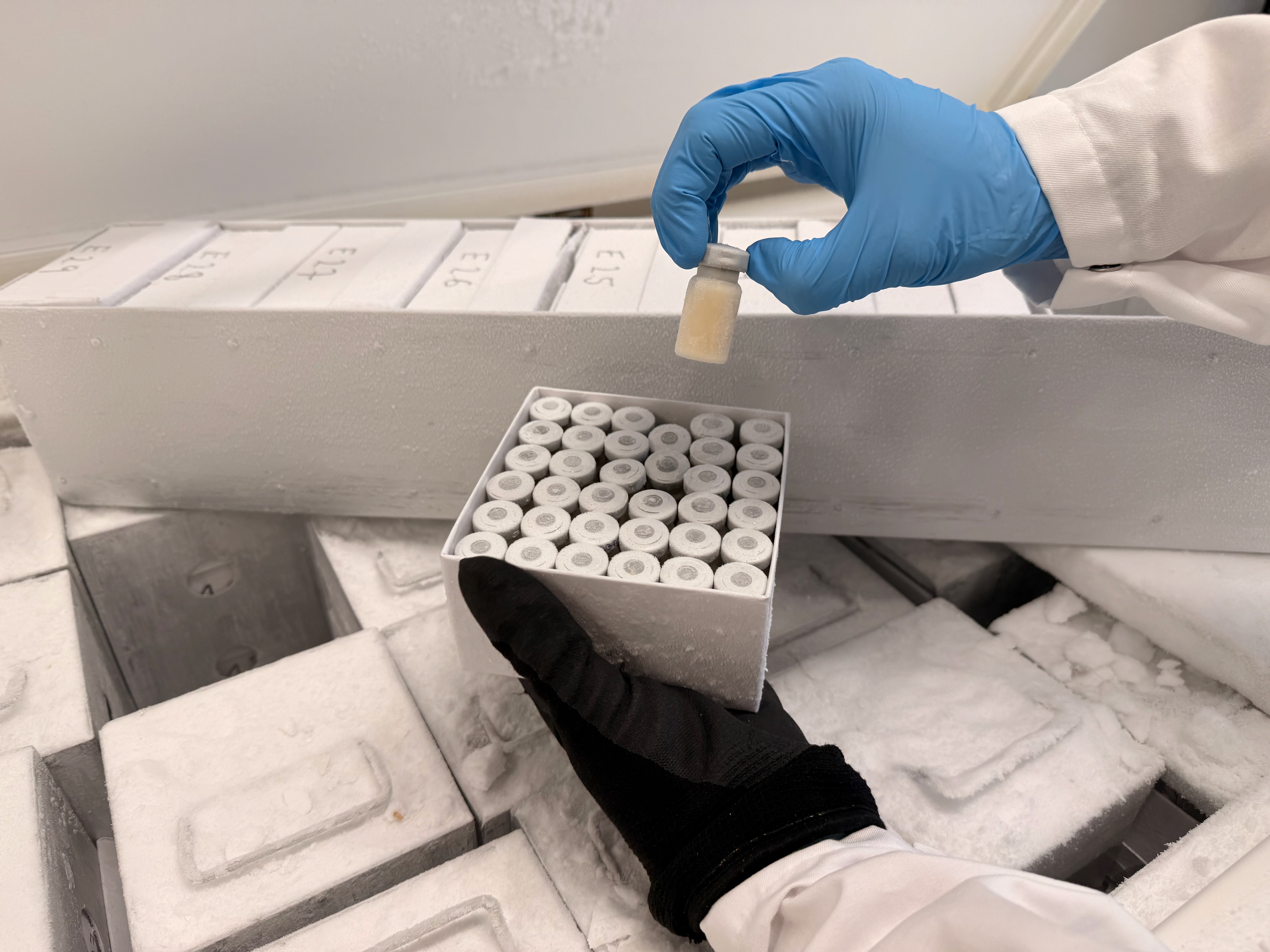De stinkende bacterie die we niet zochten