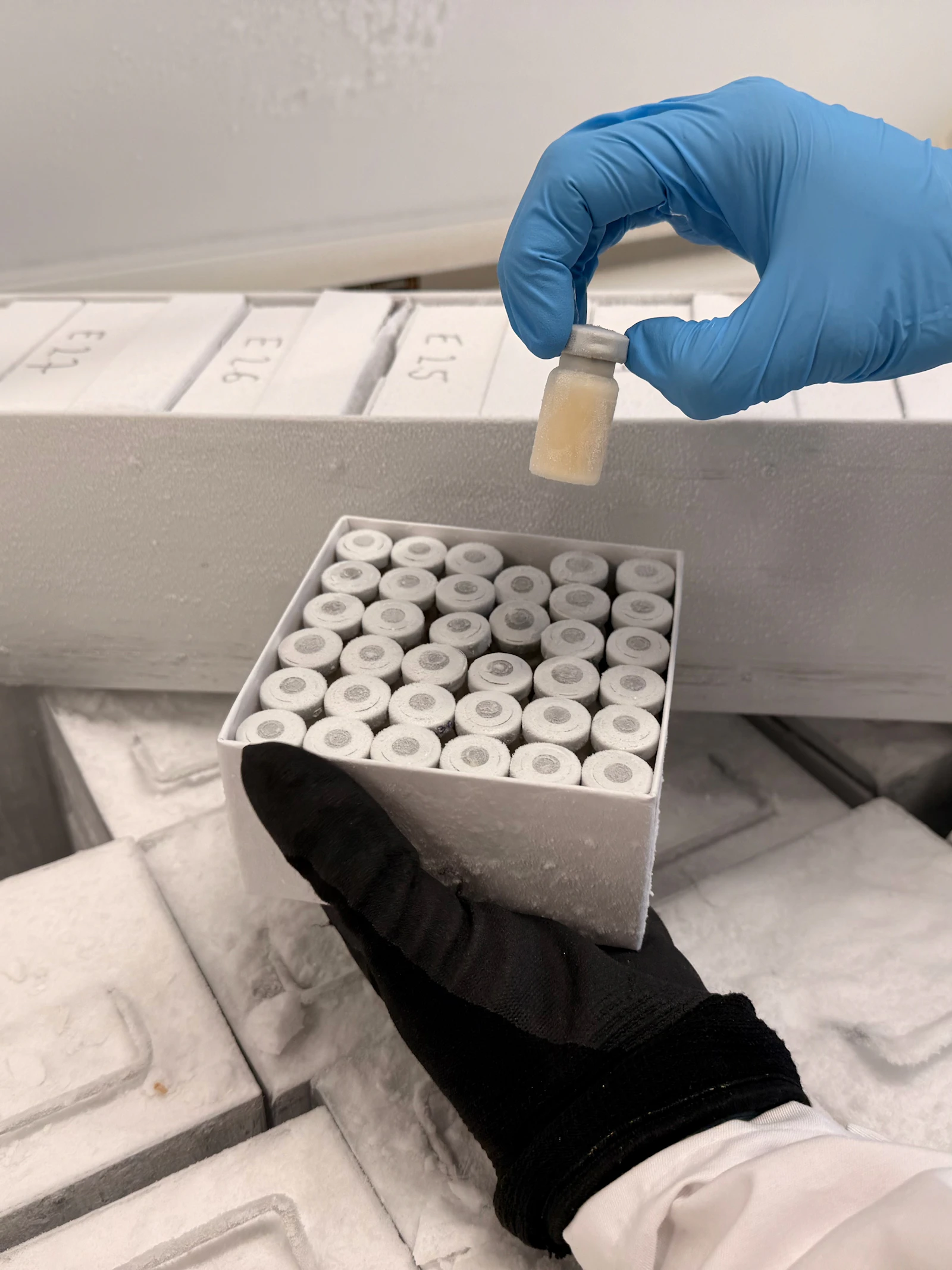 De stinkende bacterie die we niet zochten