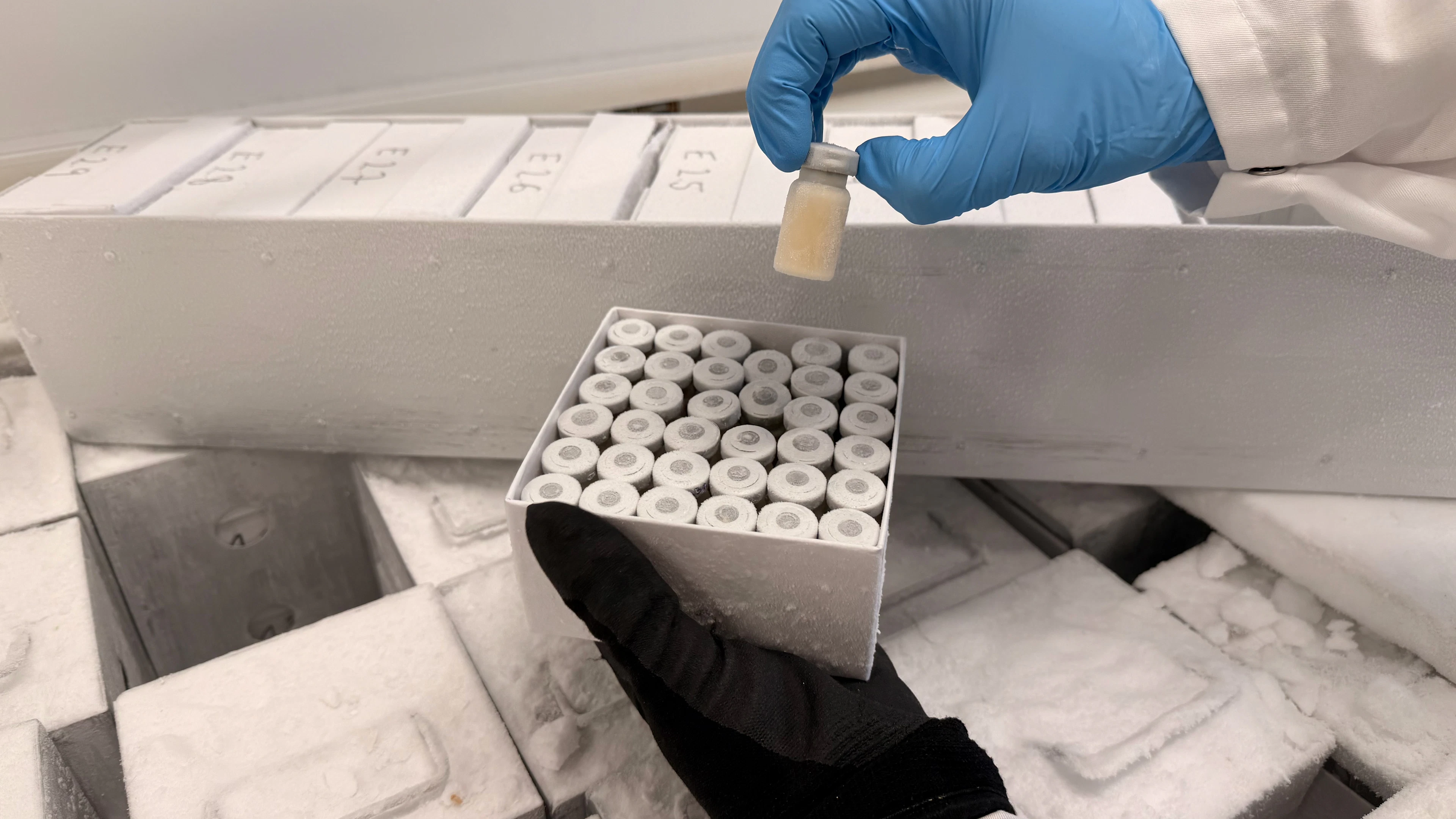 De stinkende bacterie die we niet zochten