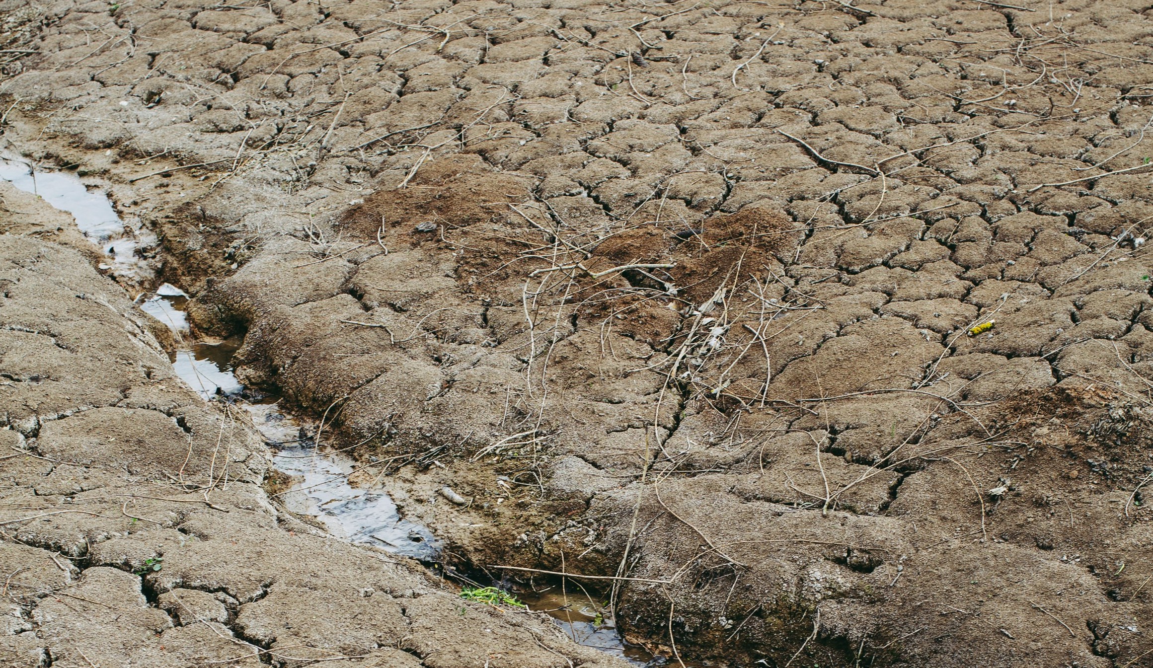 Wat is de invloed van klimaatverandering op El Niño?