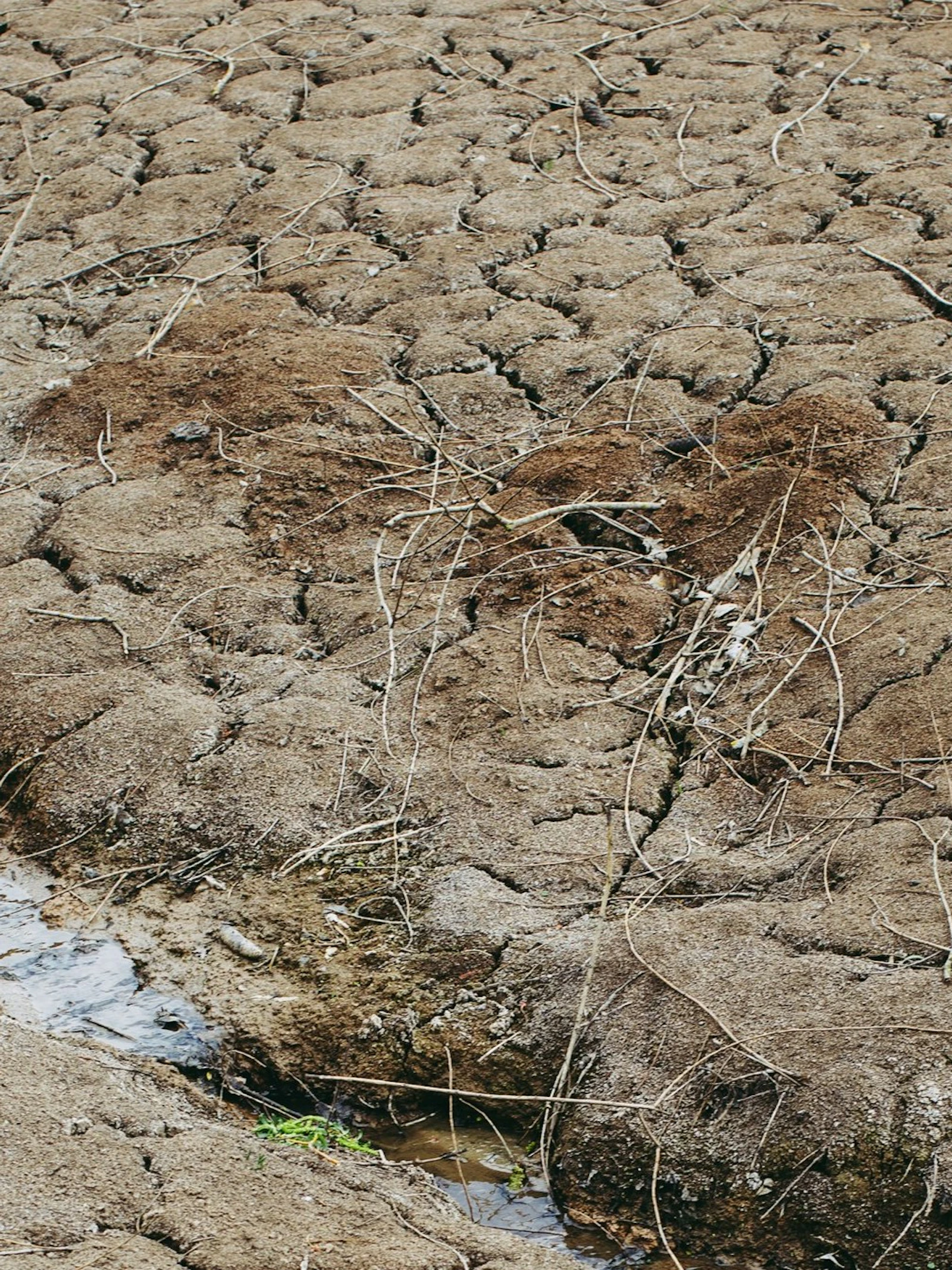 Wat is de invloed van klimaatverandering op El Niño?