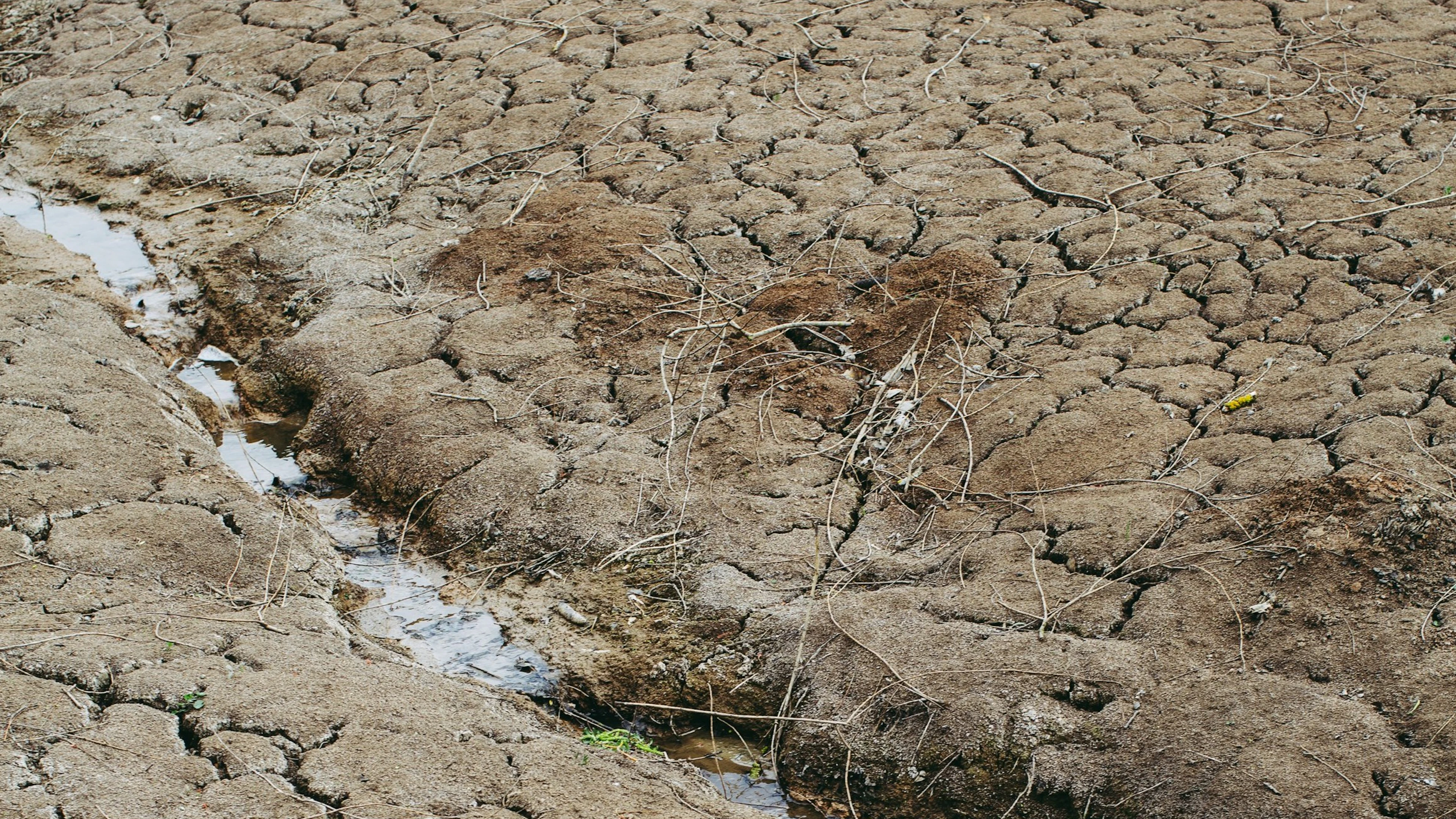 Wat is de invloed van klimaatverandering op El Niño?